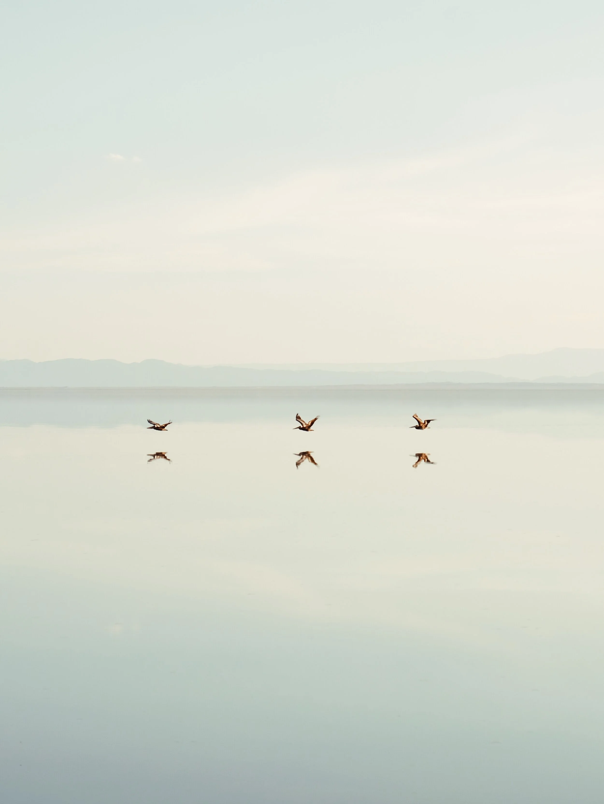 1688A316-271F-448B-9683-7210DA264546 2.JPG