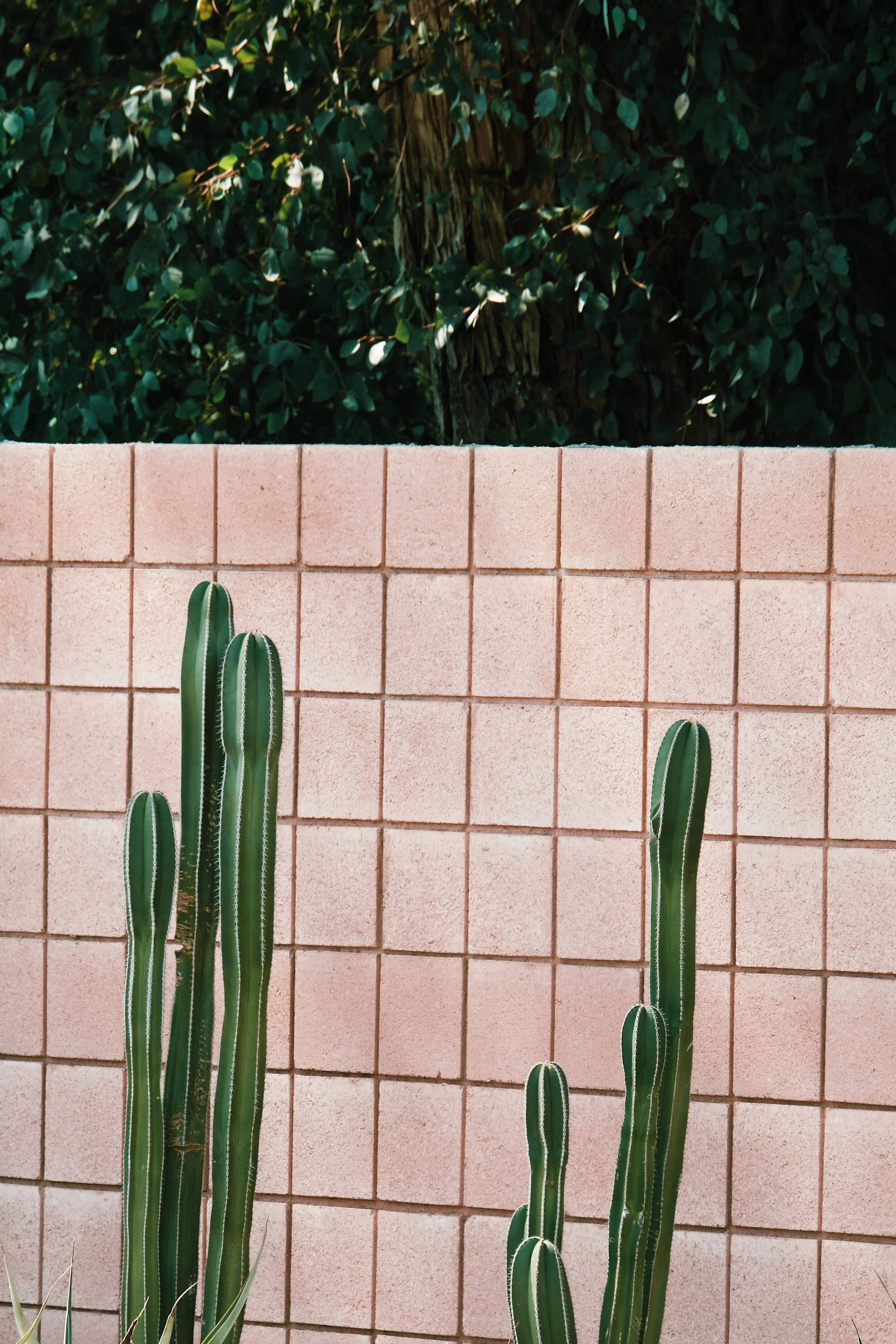 C591B142-A093-4293-B919-2EB71401B584 2.JPG