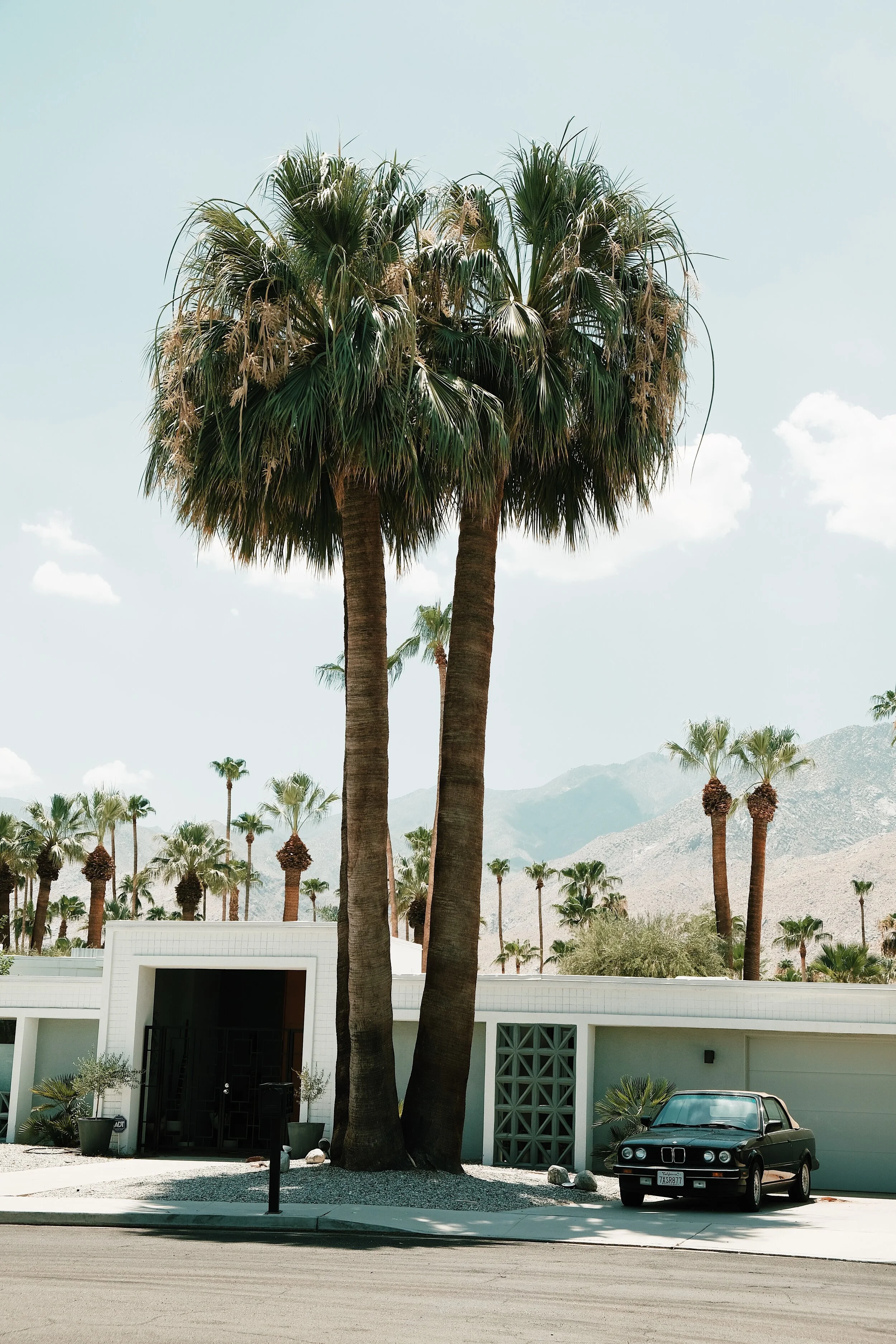 F061081B-DF04-417B-8168-89DFB24B4FBD 2.JPG