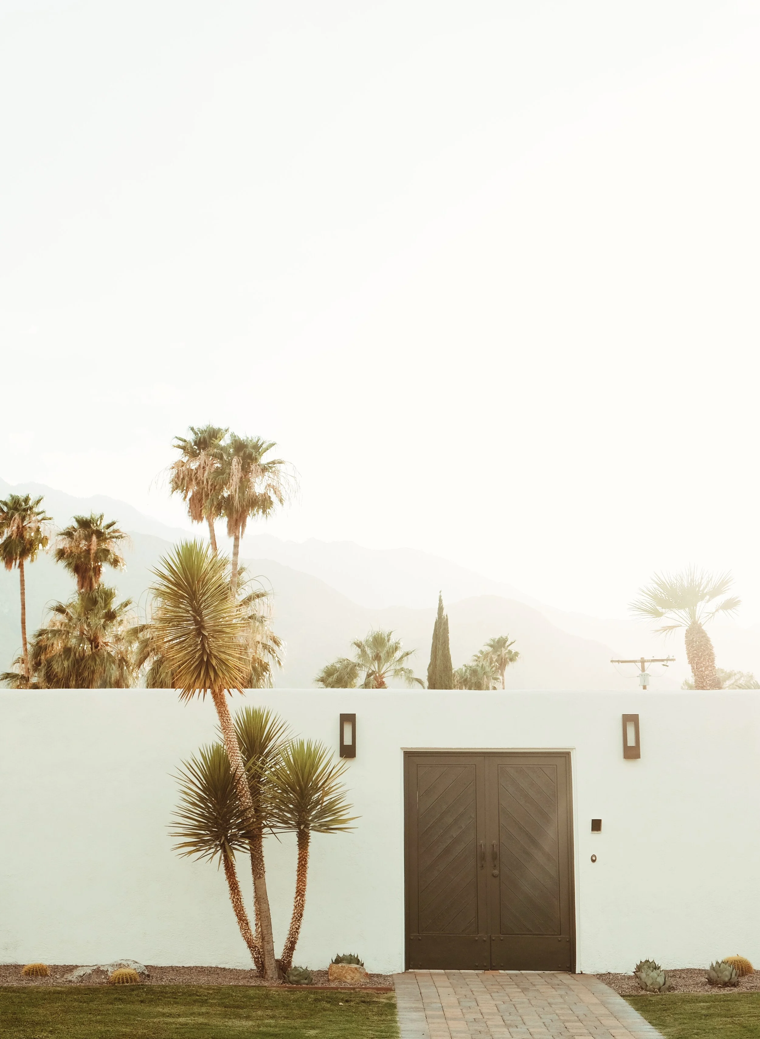 81BA523C-76FE-406D-8E86-1E04E3F5E54F 2.JPG