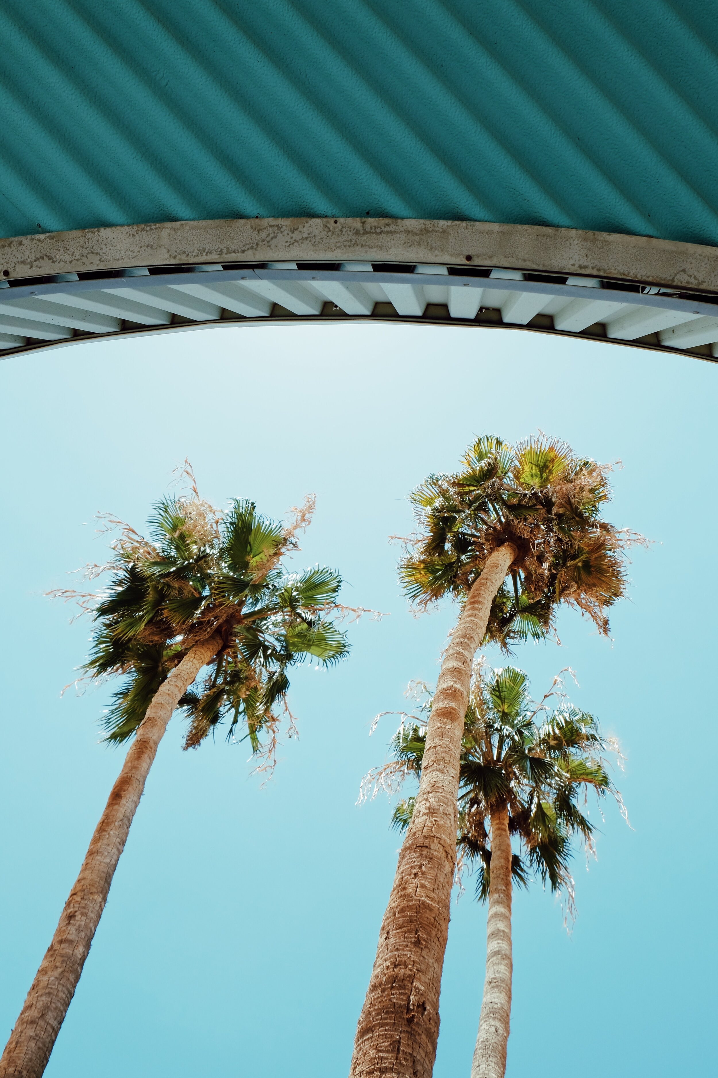 8610FE03-AA97-4A05-8A37-24A7D647A801 2.JPG