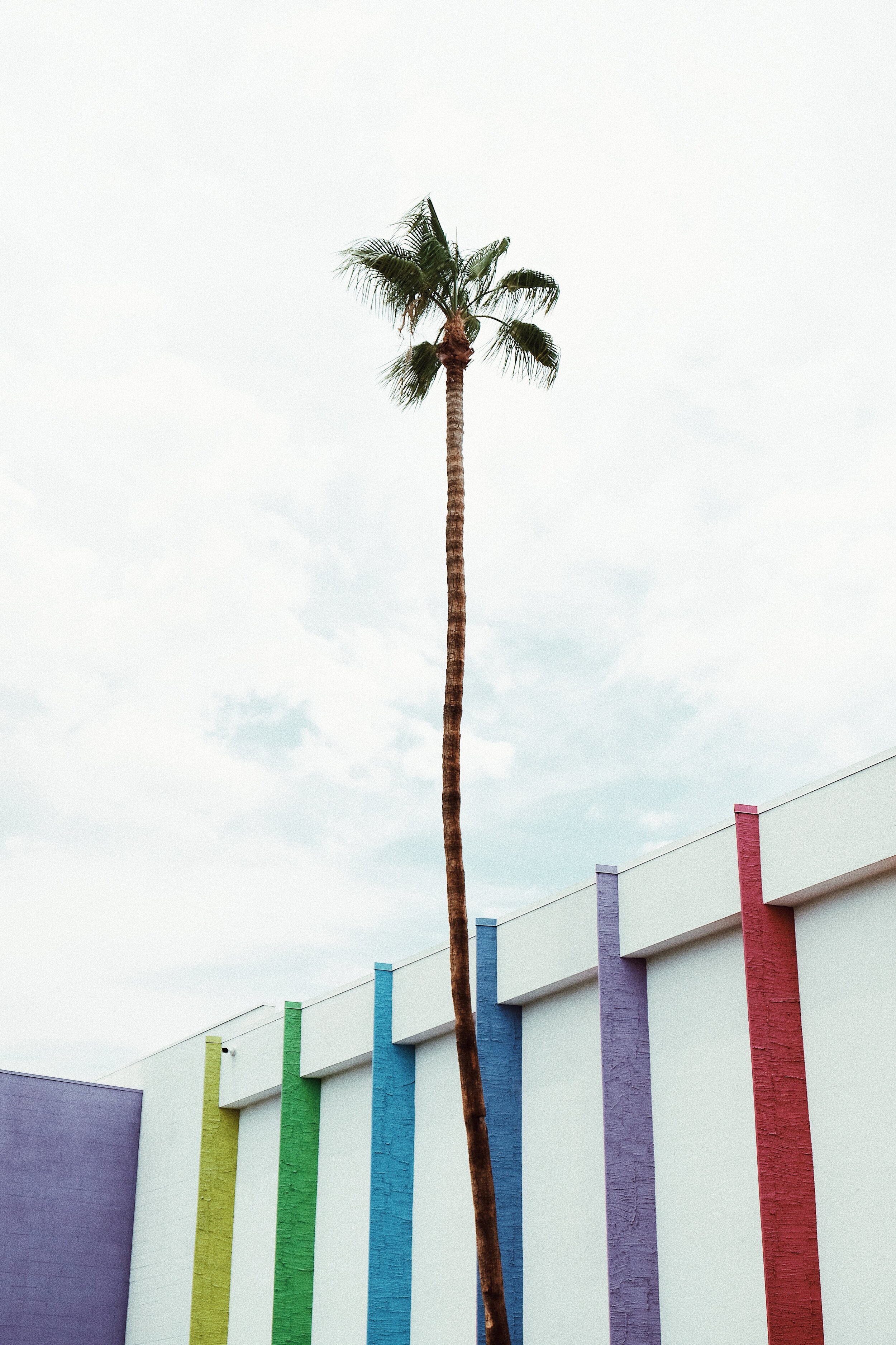 BDD0DC0A-B09F-4B61-8744-B0F037C17C3D 2.JPG