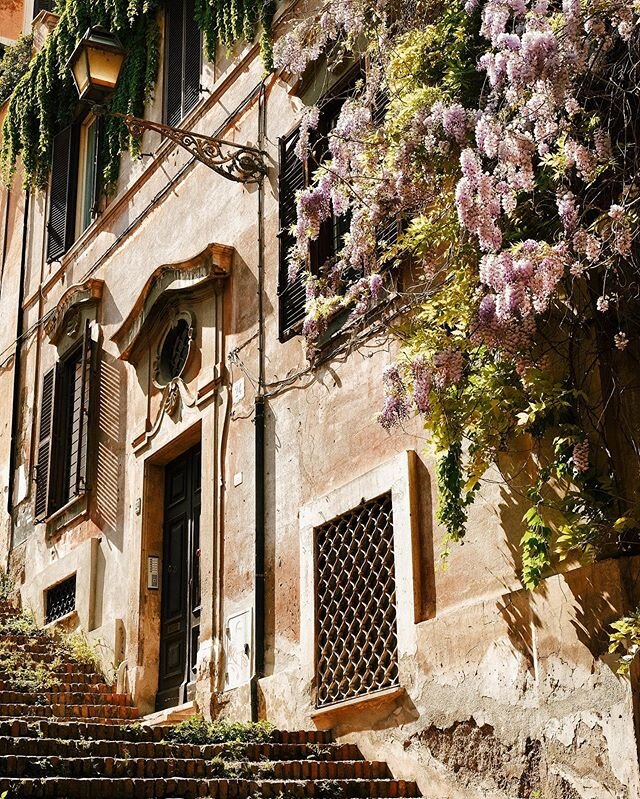 Tranquil, wisteria filled corners of Trastevere. Roma, Italia. ⠀⠀⠀⠀⠀⠀⠀⠀⠀⠀⠀⠀ ⠀⠀⠀⠀⠀⠀⠀⠀⠀⠀⠀⠀ ⠀⠀⠀⠀⠀⠀⠀⠀⠀⠀⠀⠀ ⠀⠀⠀⠀⠀⠀⠀⠀⠀⠀⠀⠀ .
.
.
.
.
_
#roma #rome #romanity #whatitalyis #browsingitaly #mytinyatlas #suitcasetravels #suitcasemag #inrhome #dispatchfrom #italia