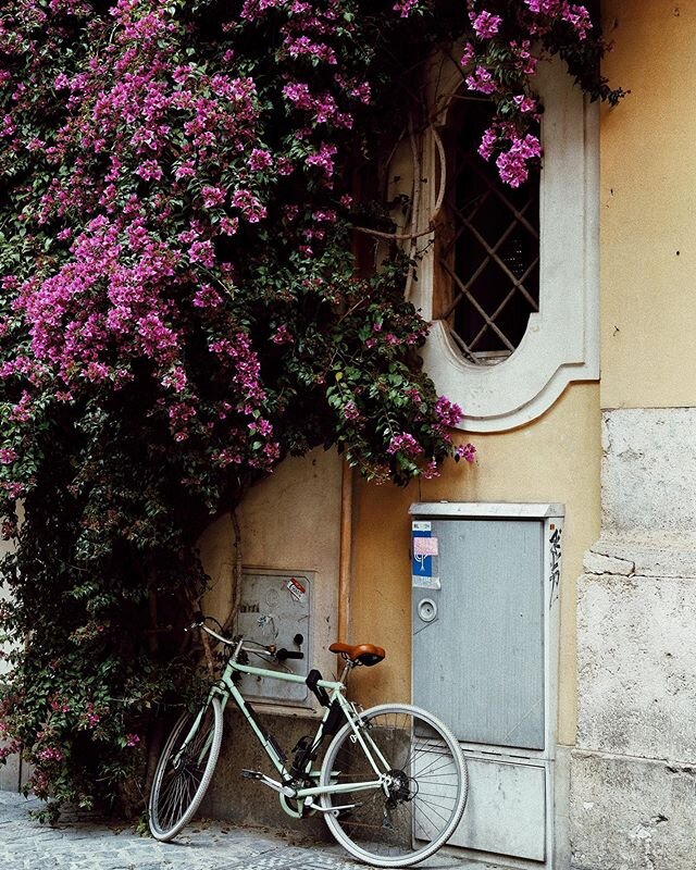 Missing these colorful streets. Roma, Italia. 
_
.
.
.
.
.
.
.
.
.
.
_
#roma #rome #romanity #whatitalyis #browsingitaly #mytinyatlas #suitcasetravels #suitcasemag #inrhome #dispatchfrom #italianlandscapes #dolcevita #ildolcefarniente #iorestoacasa #