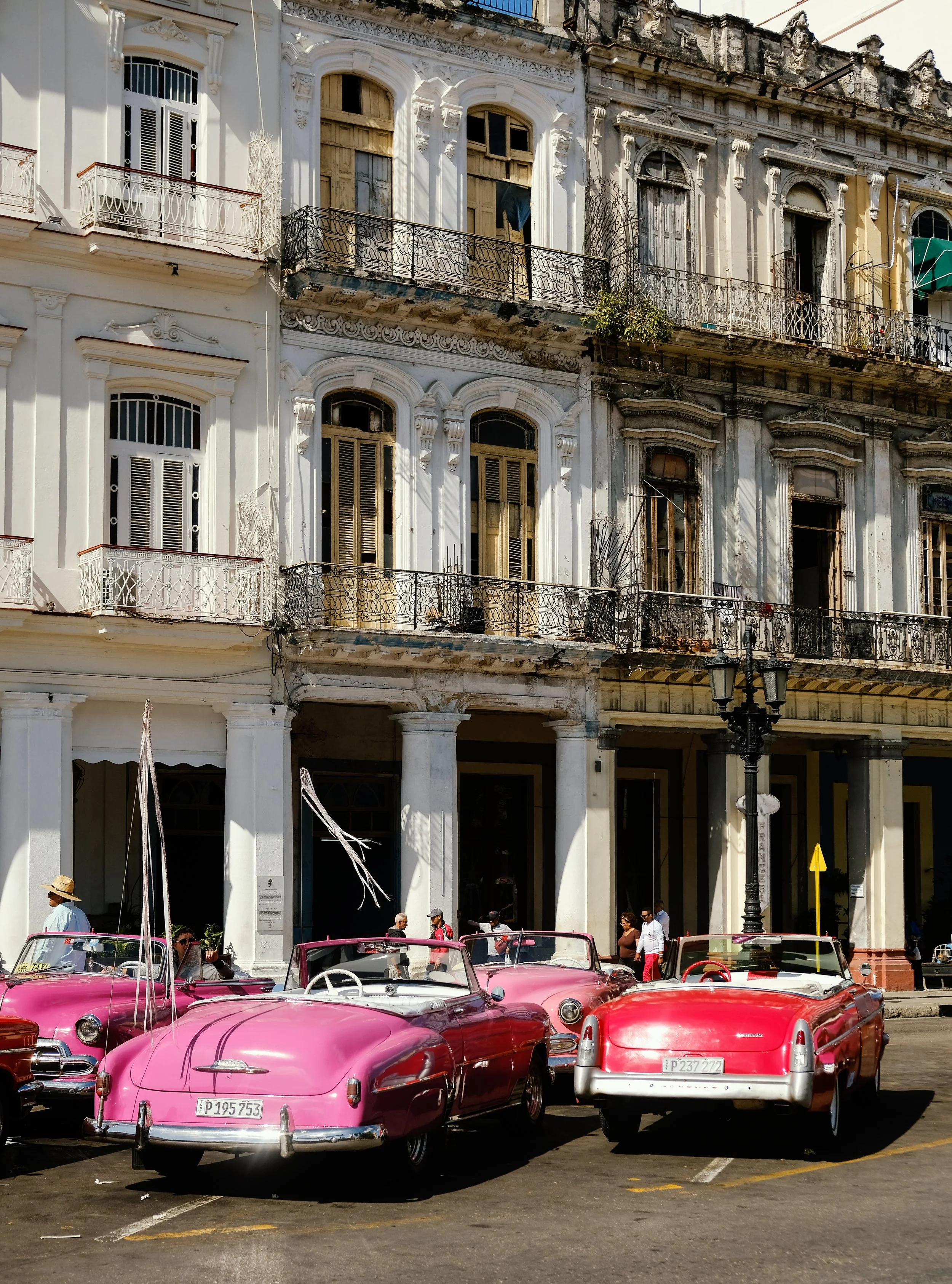 Havana x RN  (18 of 102).jpg