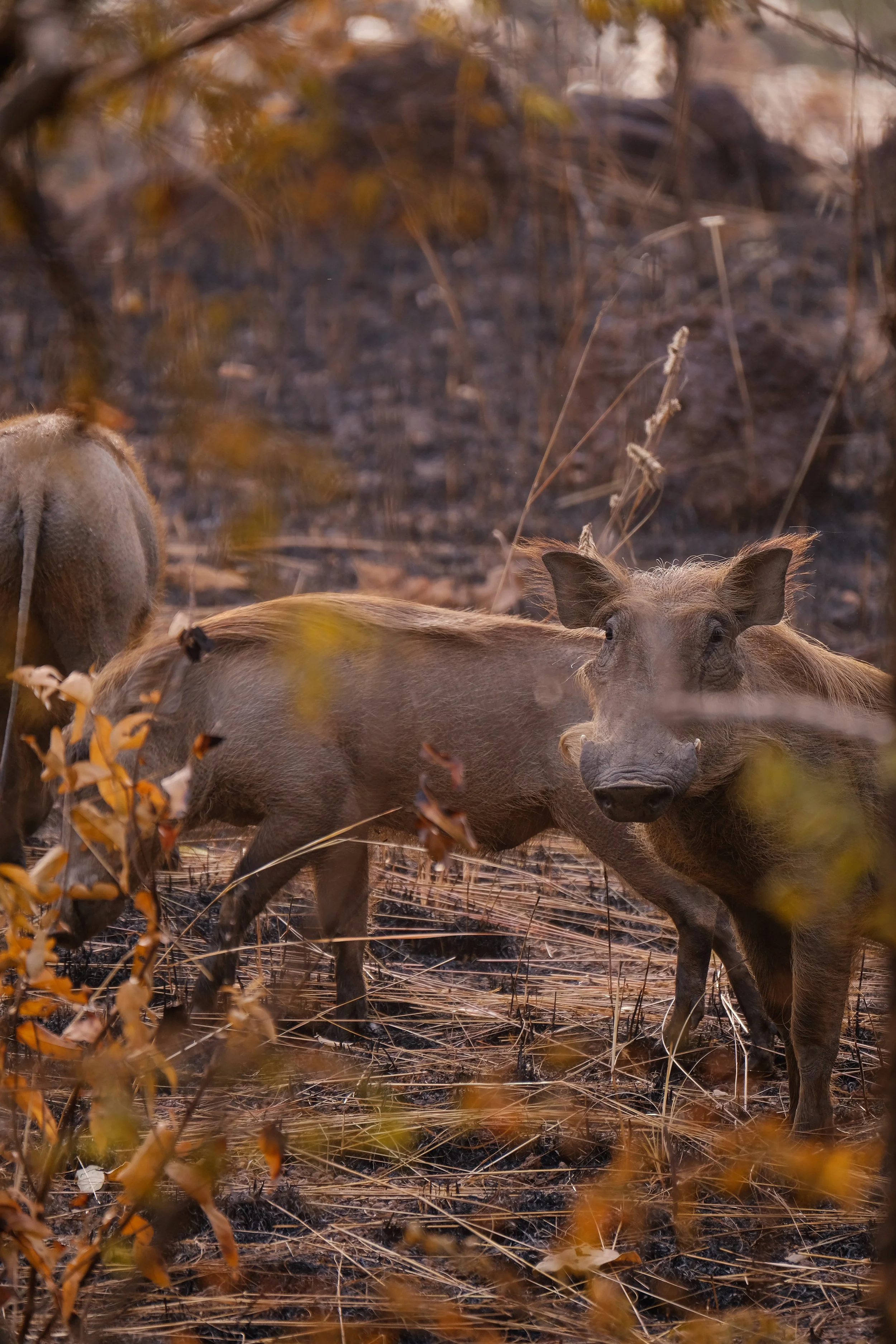 Ryan Neeven x Kintzing Licensing - Ghana (34 of 58).jpg