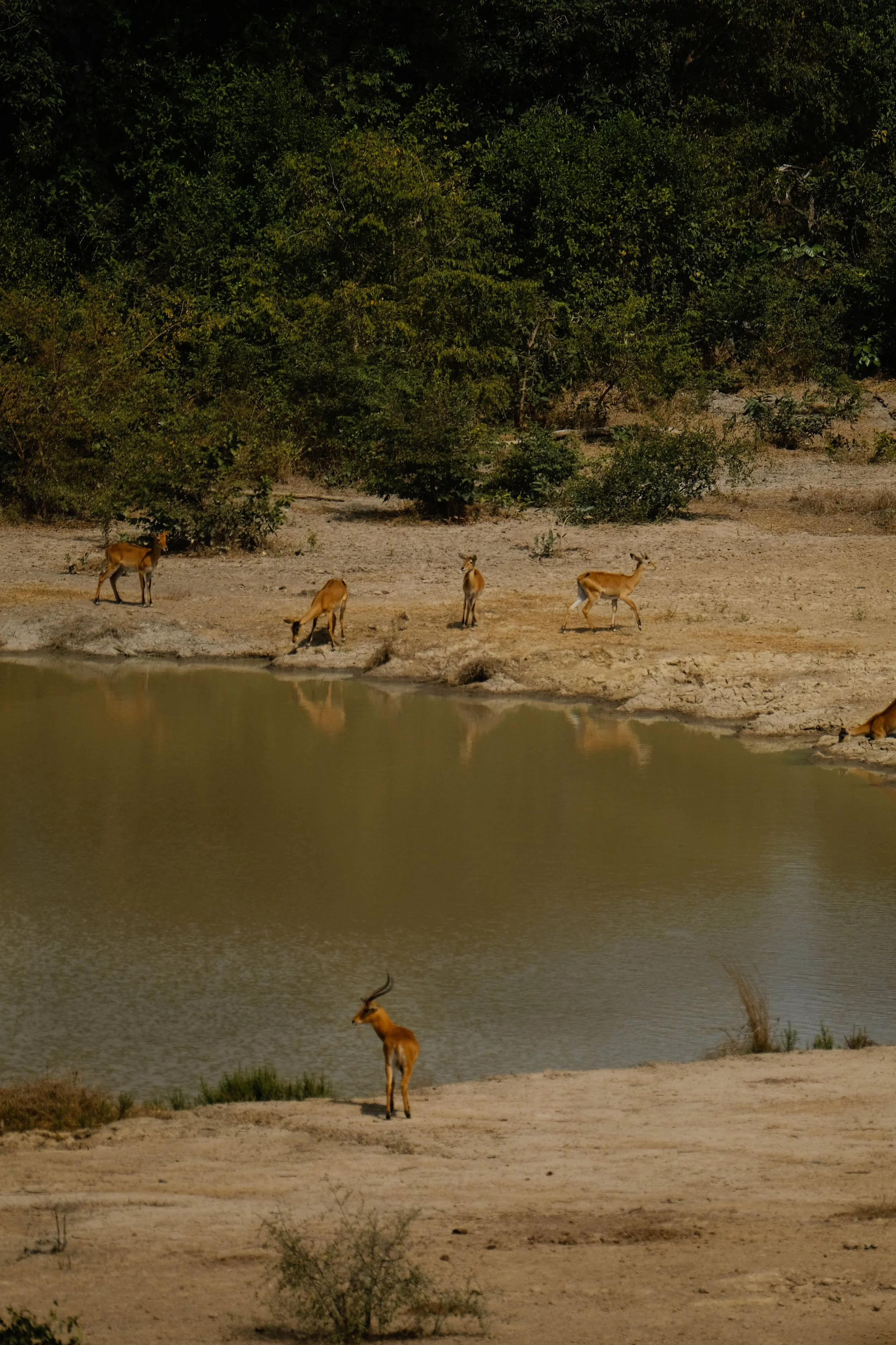 Ryan Neeven x Kintzing Licensing - Ghana (42 of 58).jpg