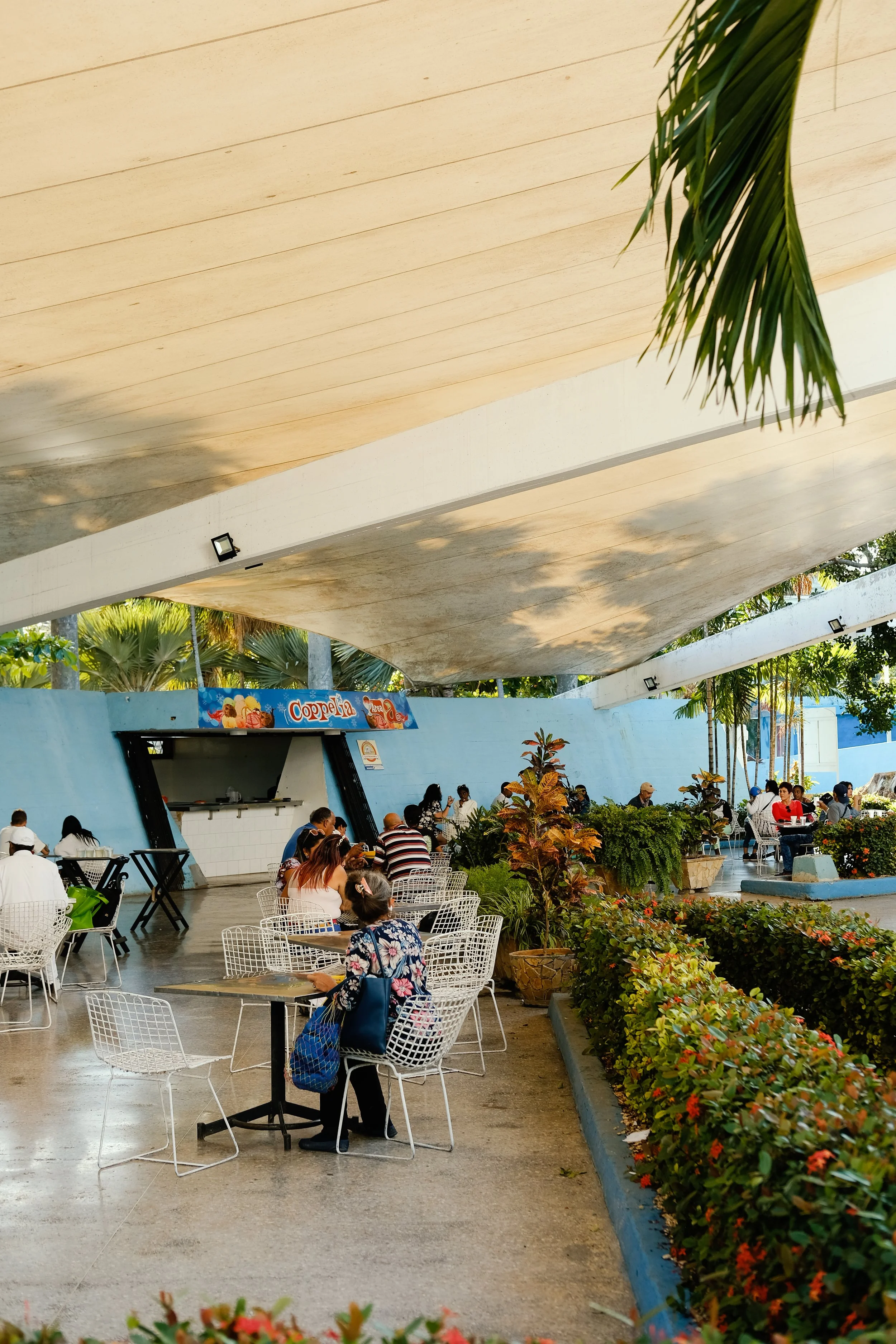 Havana x RN  (85 of 102).jpg