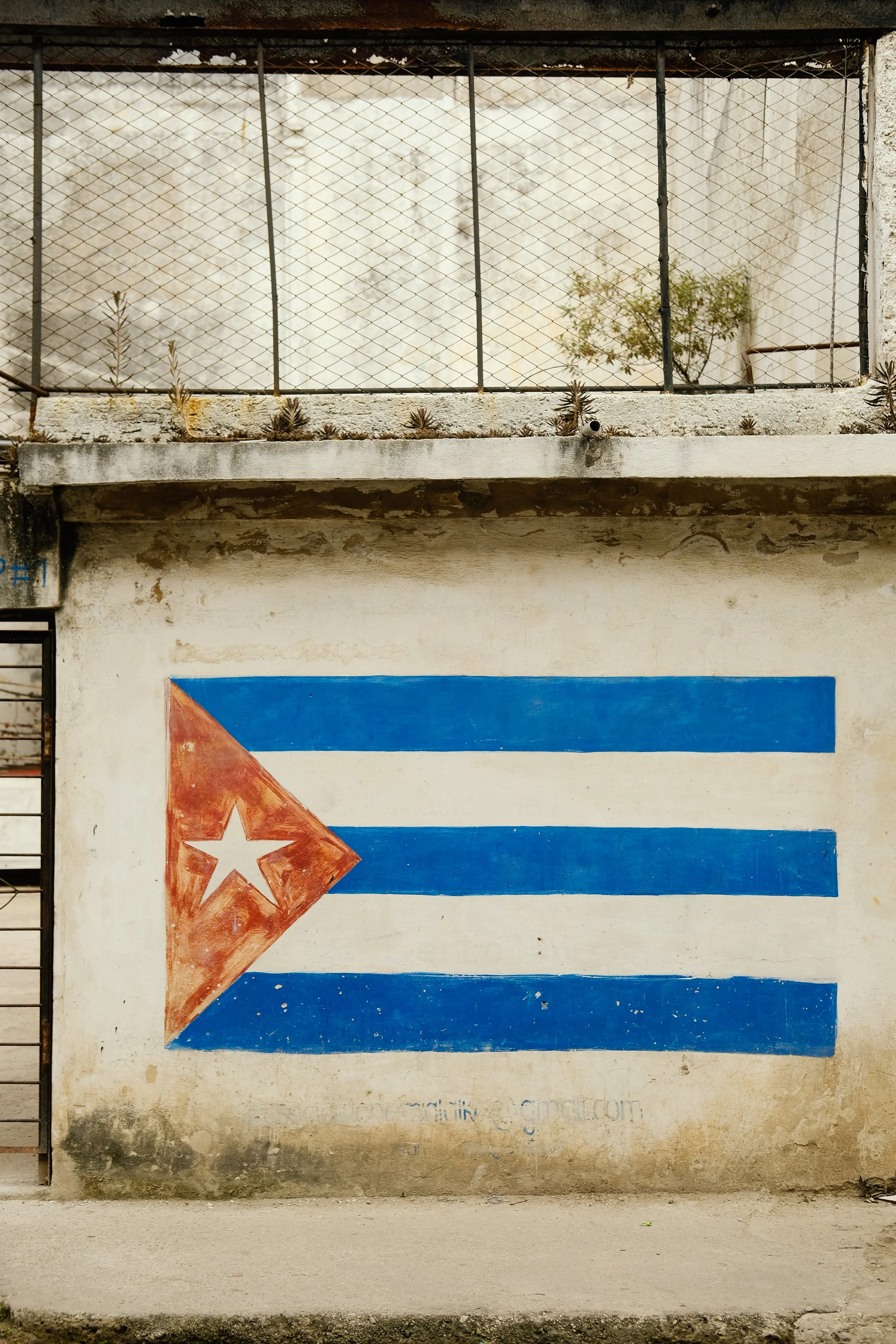 Havana x RN  (67 of 102).jpg