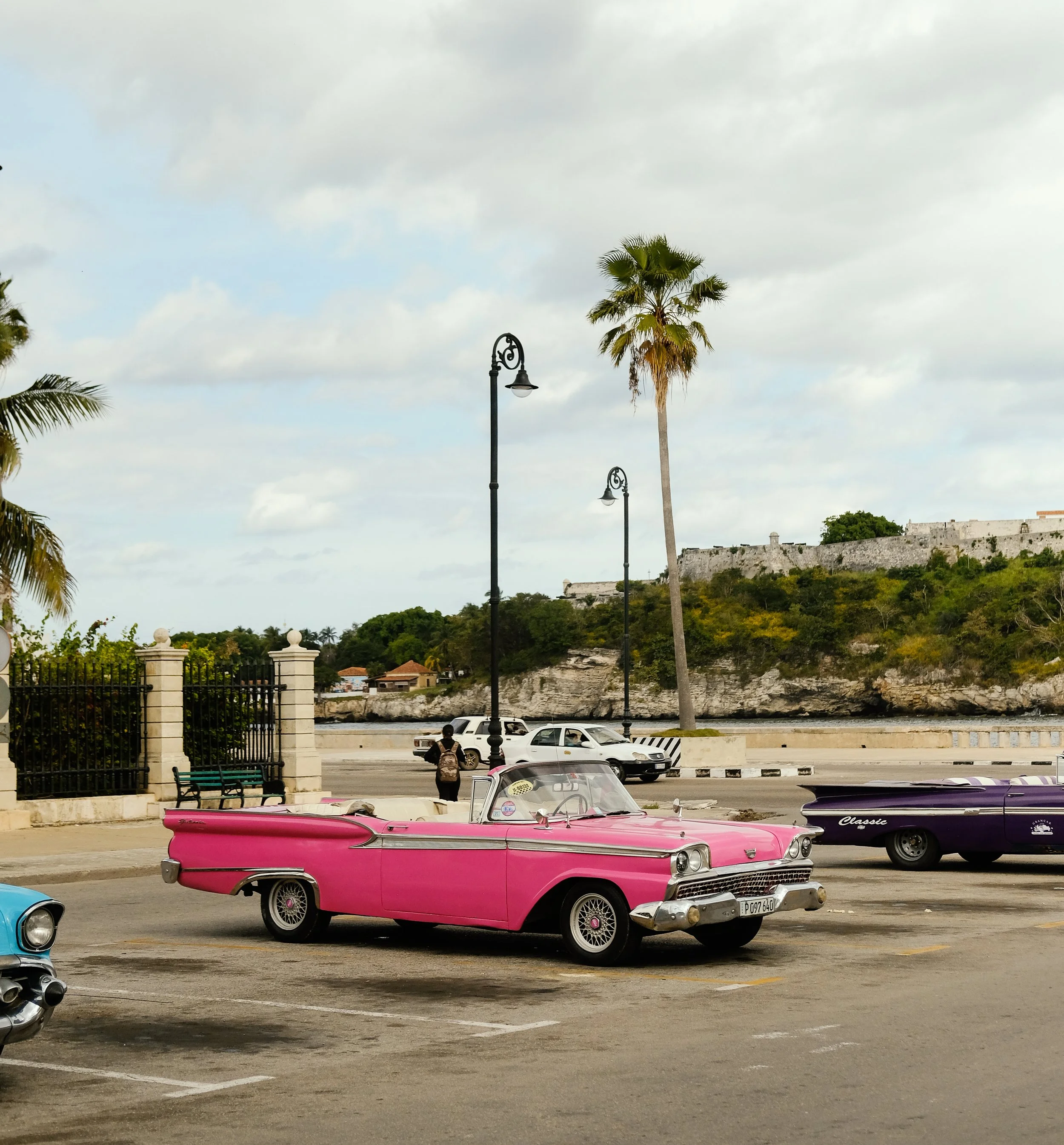 Havana x RN  (15 of 102).jpg