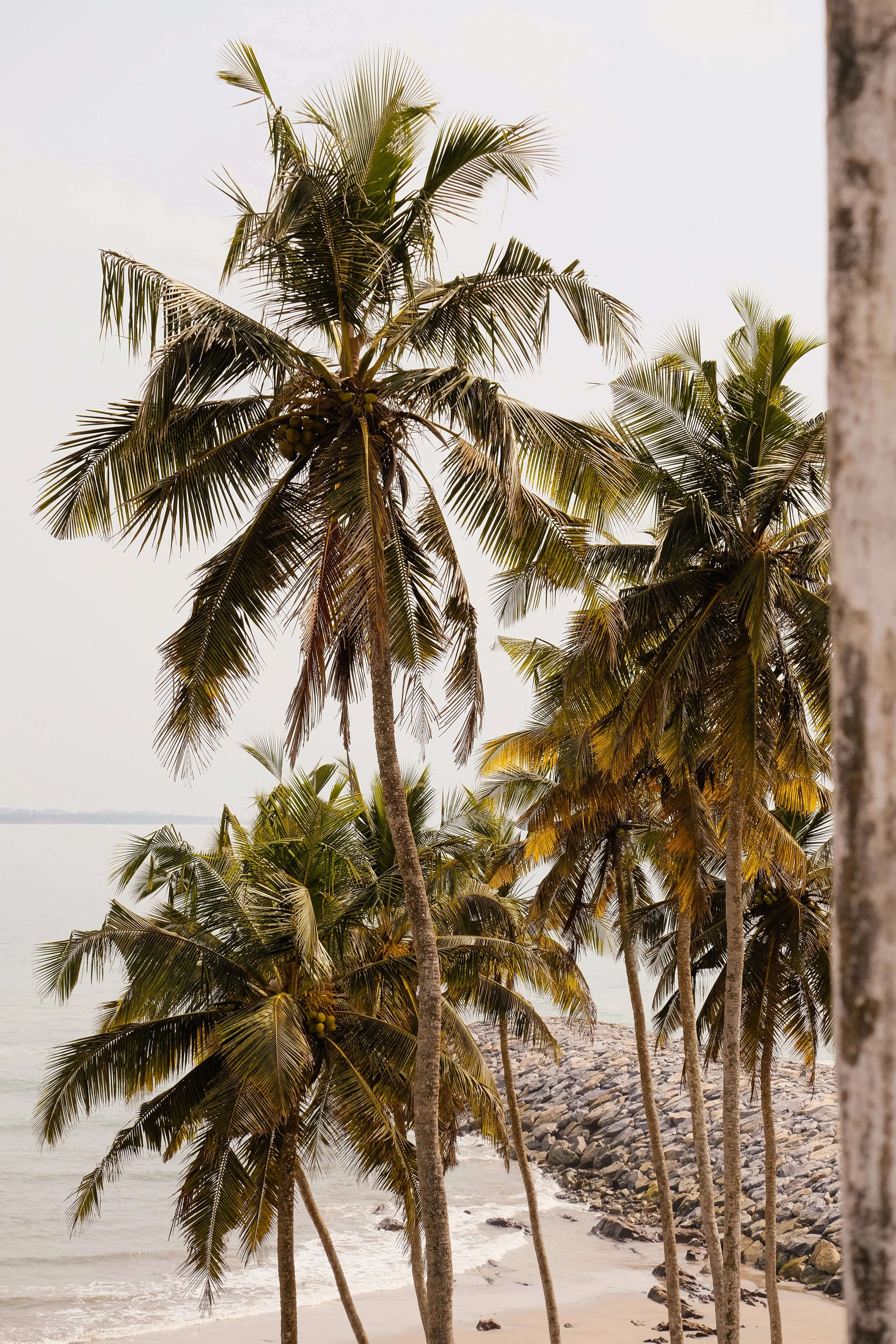 Ryan Neeven x Kintzing Licensing - Ghana (12 of 58).jpg