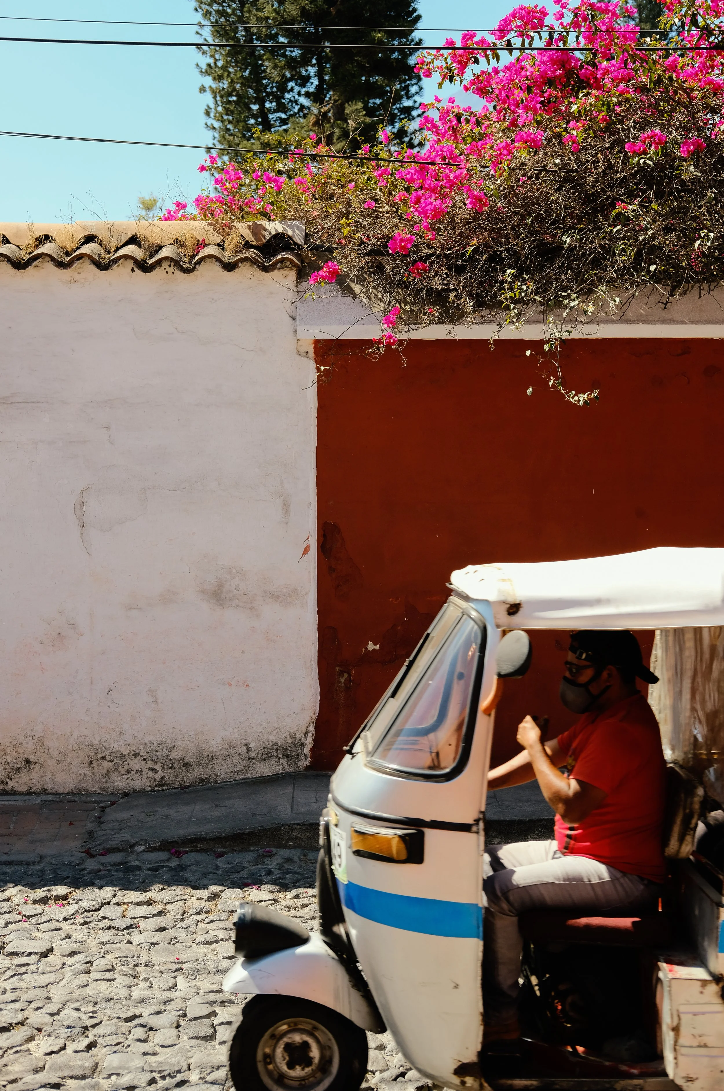 Ryan Neeven x Antigua (11 of 48).jpg