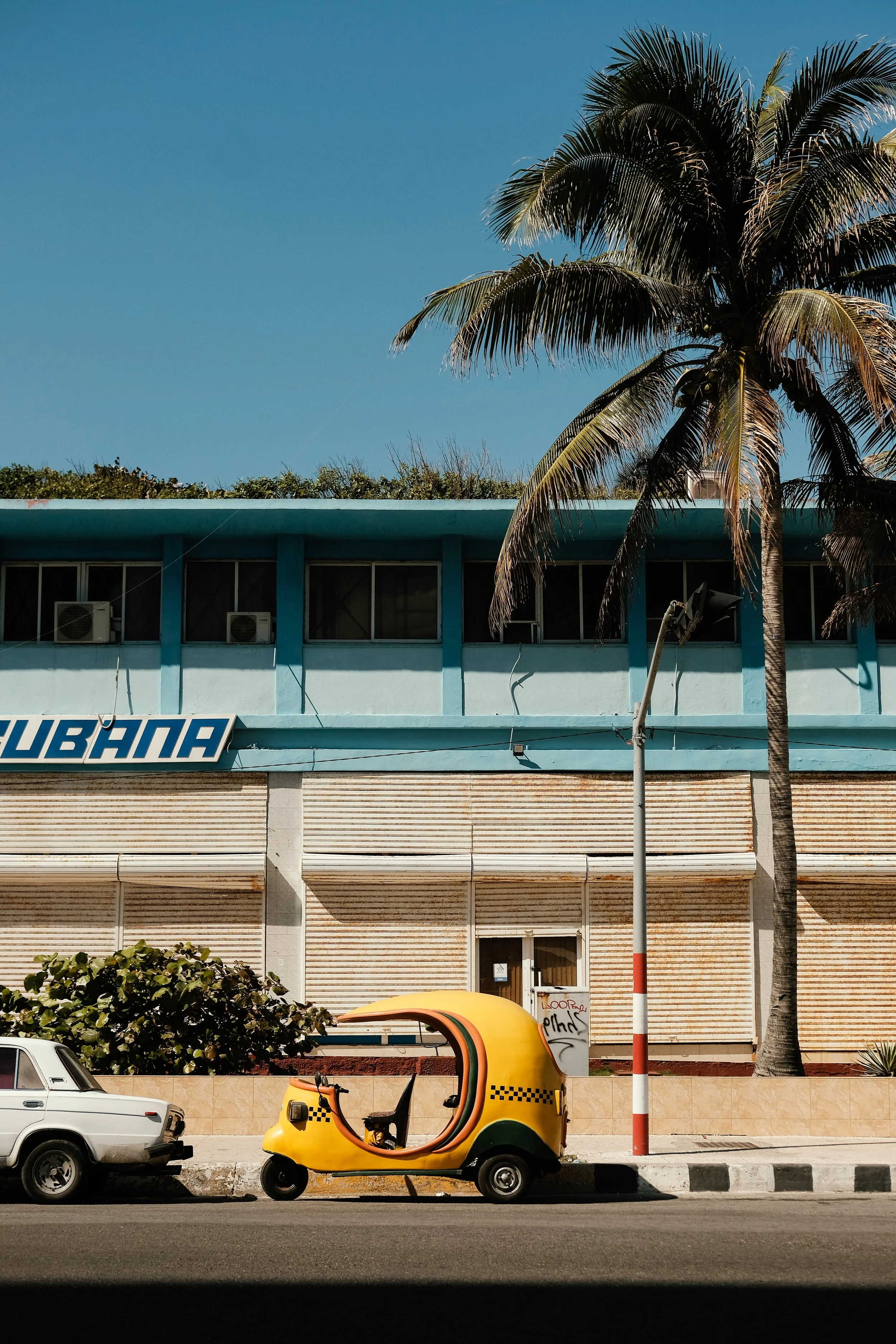 Havana x RN  (79 of 102).jpg