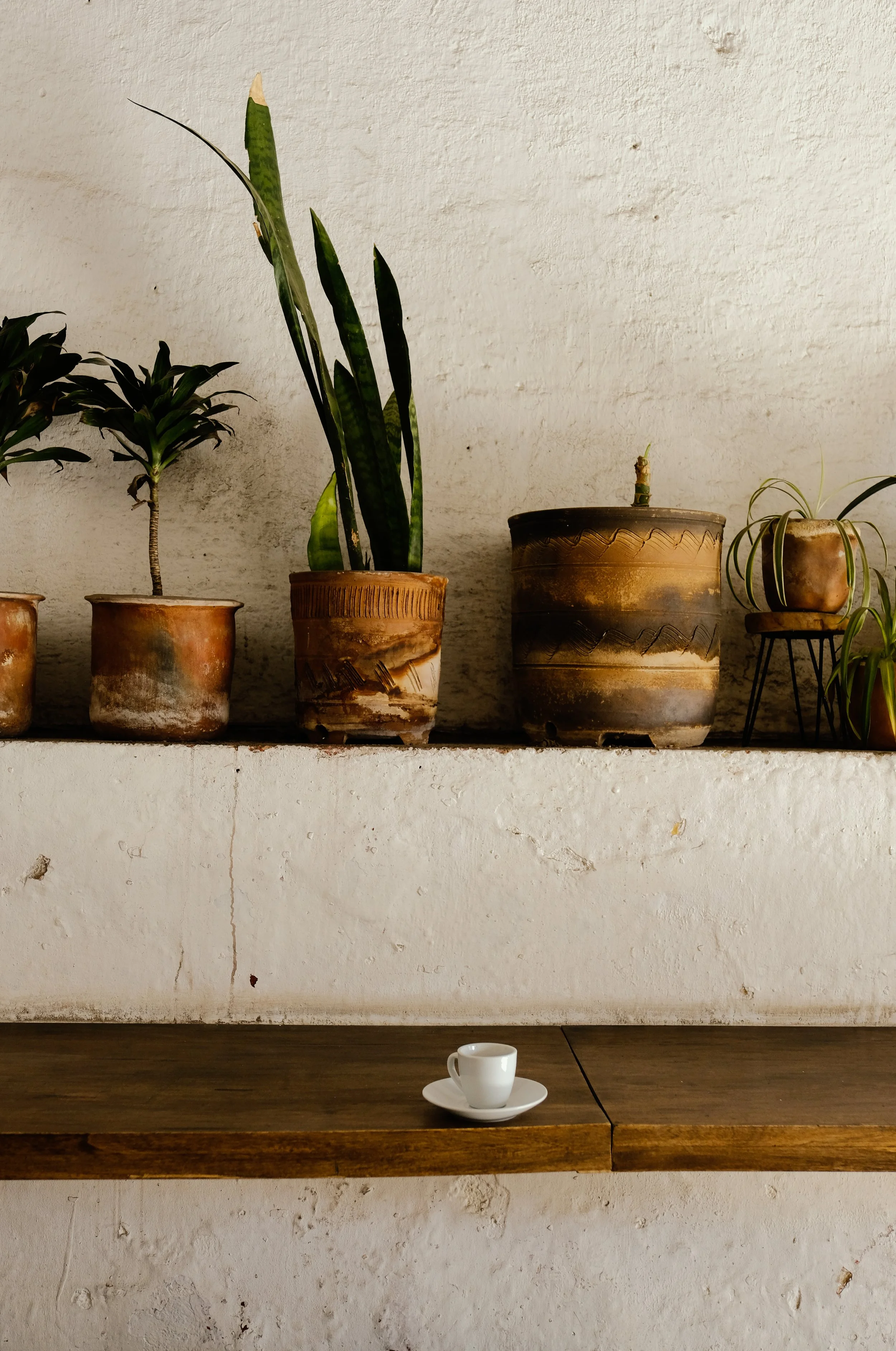 Ryan Neeven x Antigua (32 of 48).jpg