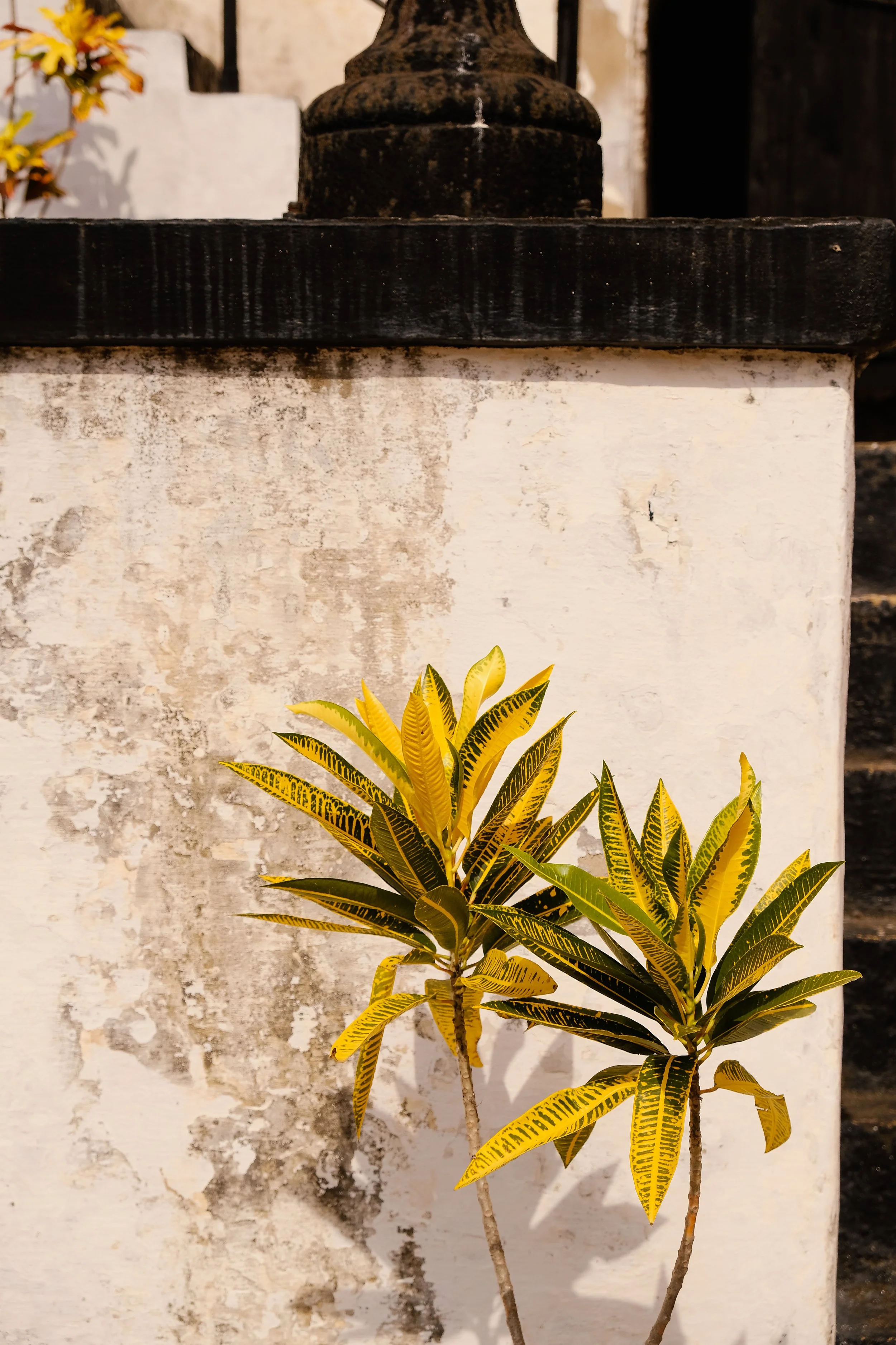 Ryan Neeven x Kintzing Licensing - Ghana (11 of 58).jpg