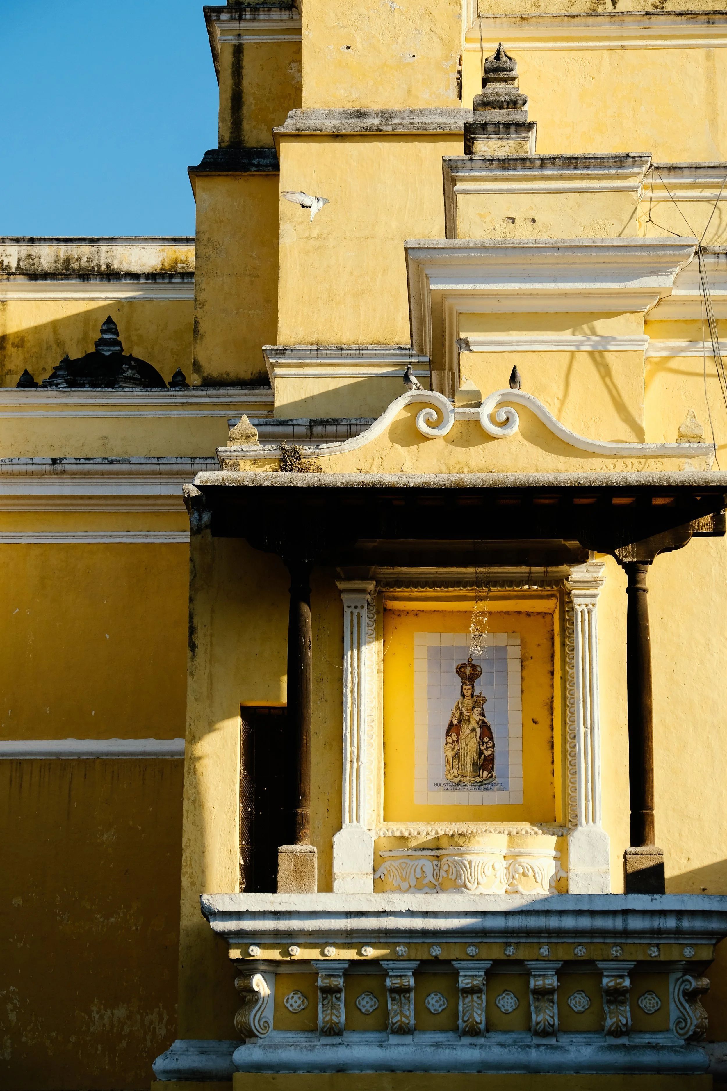 Ryan Neeven x Antigua (2 of 48).jpg