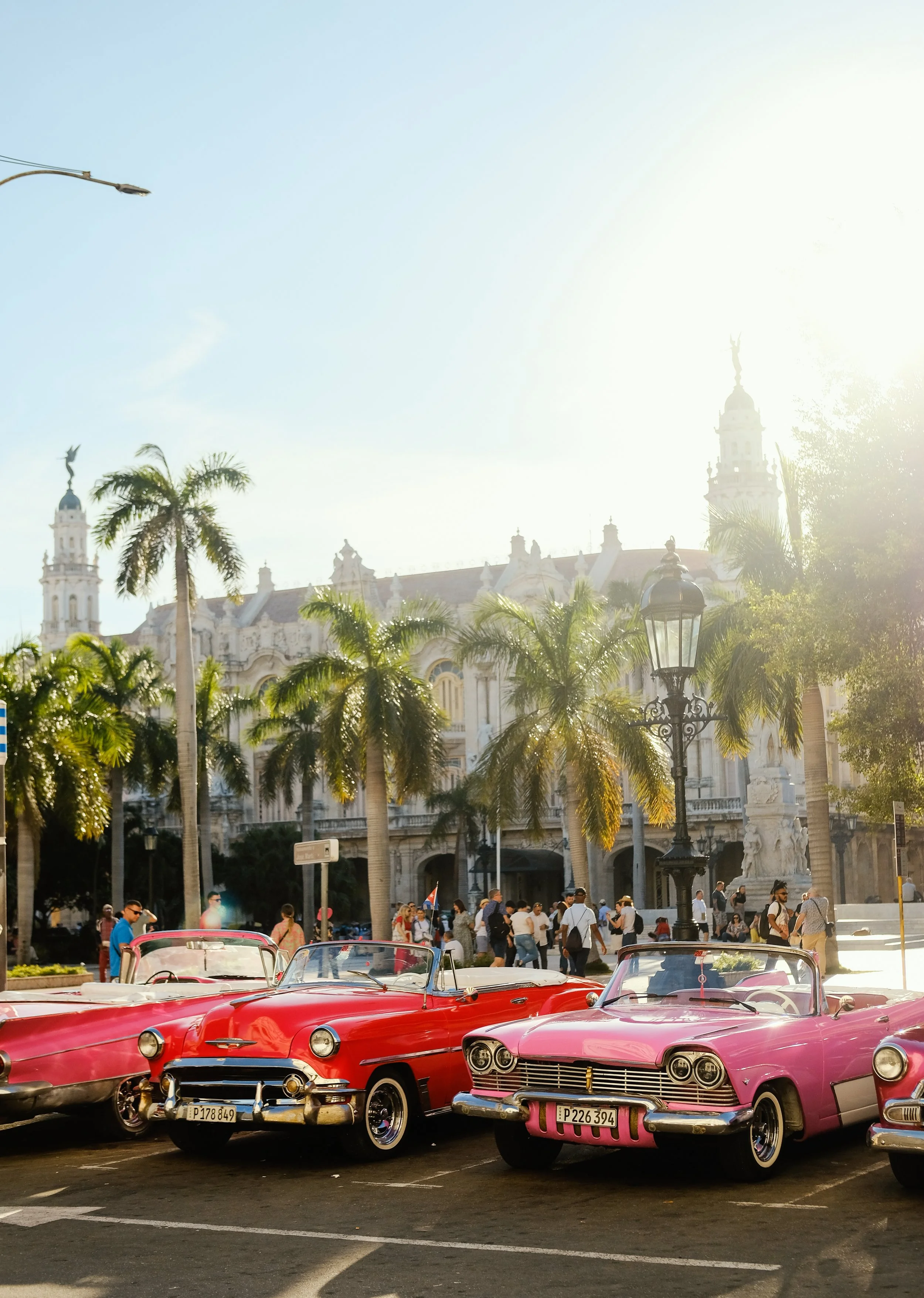 Havana x RN  (45 of 102).jpg