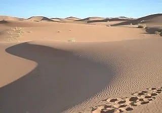 2009-10-04 07.21.09.jpg