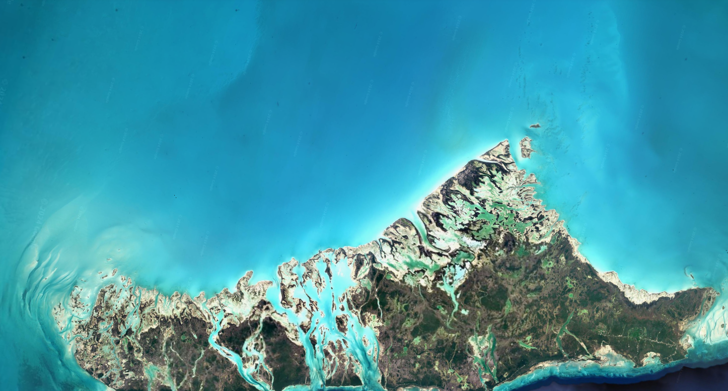 HNES SITE 2025-01-07 180300.png