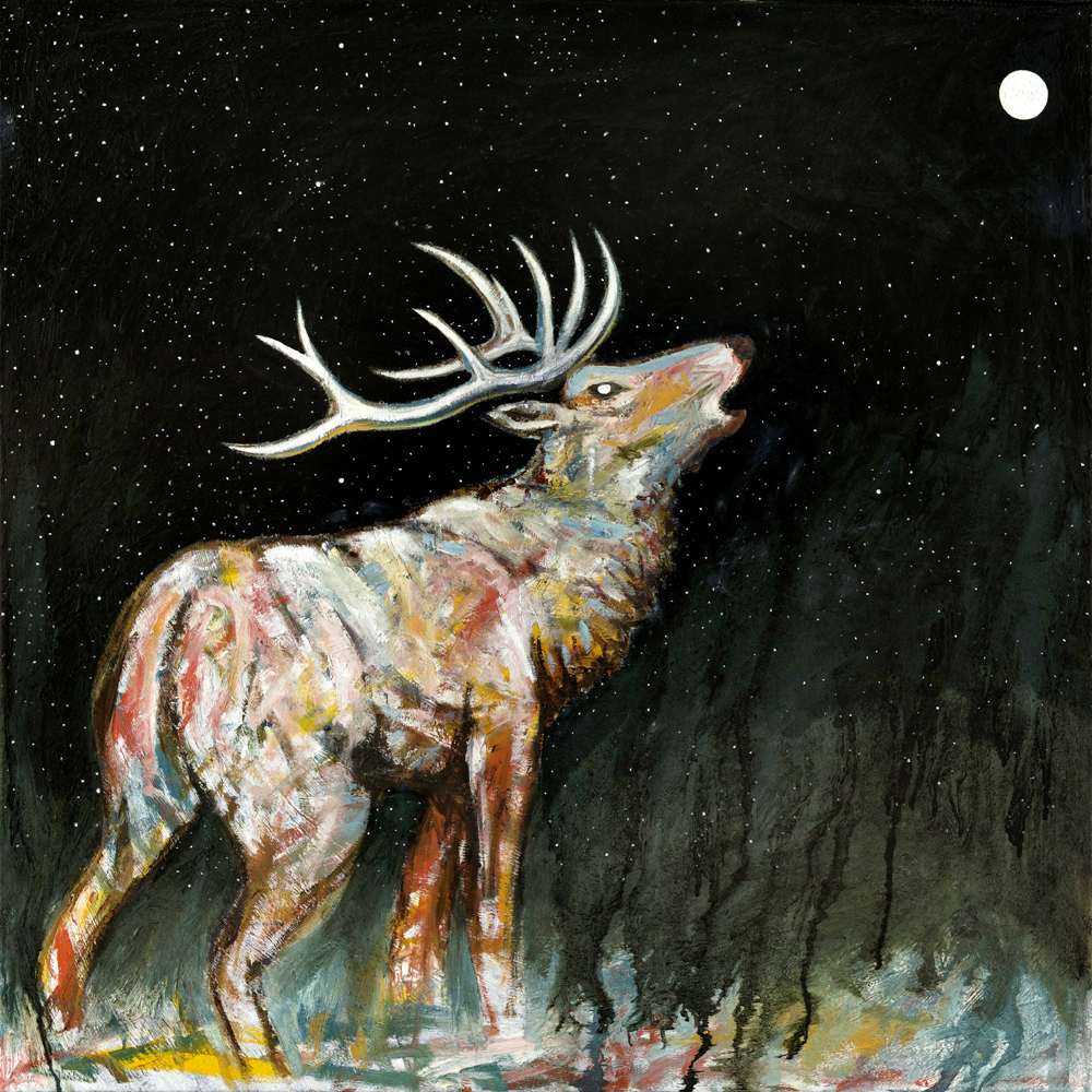 Bull Elk Bugle Oil on canvas 36" x 36" $850