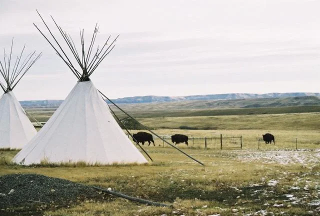 Sacred Ground