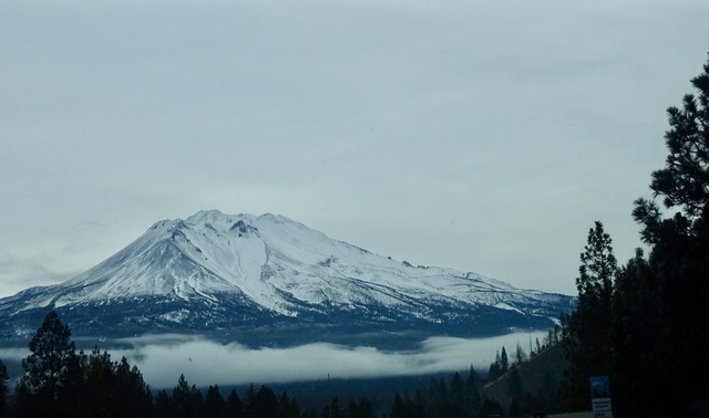 Driving by Mt.Shasta in N CA is aways inspiring!