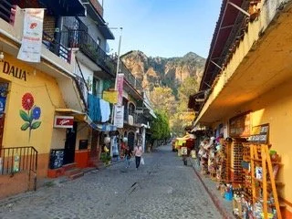 The Voice of the Grandmothers of the Americas Event  2025