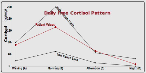 As you can see in the above example the patient's cortisol levels are above-range in the afternoon. Ideally all four measurements throughout the day would be in between the low and high range limits.