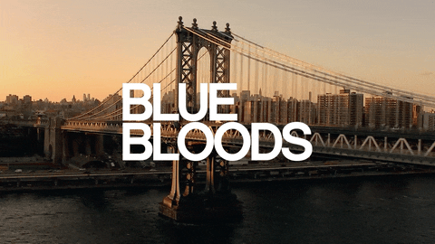Blue Bloods - S8 Promo