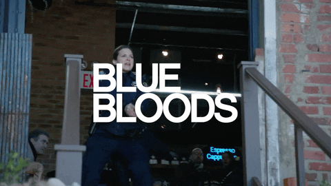 Blue Bloods - S8 (11-22) Promo