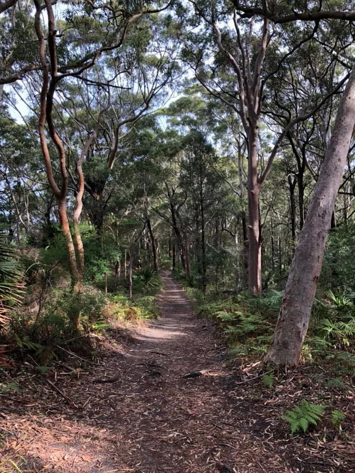 Into the Woods...