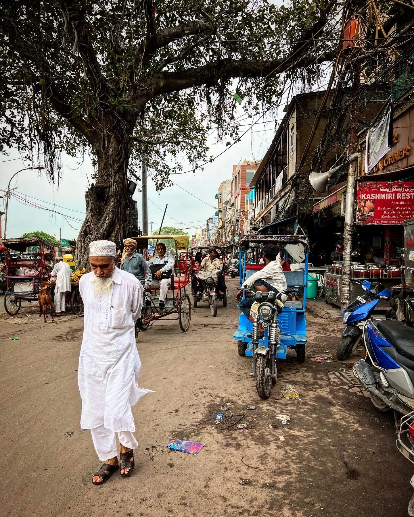 06868332-CB1A-4247-9664-8B63EA53BF4F copy.JPG