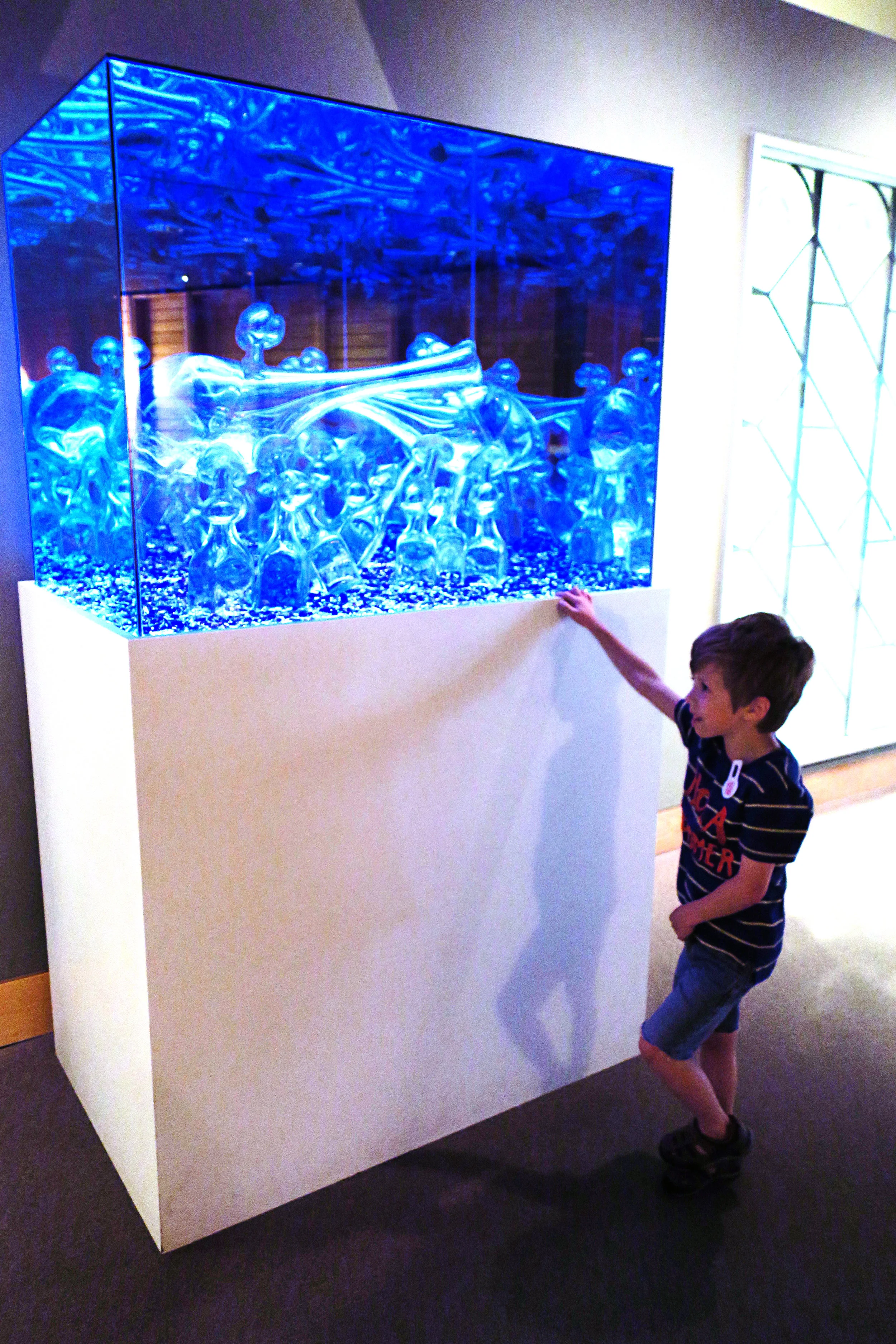 IMG_3932sm.jpg