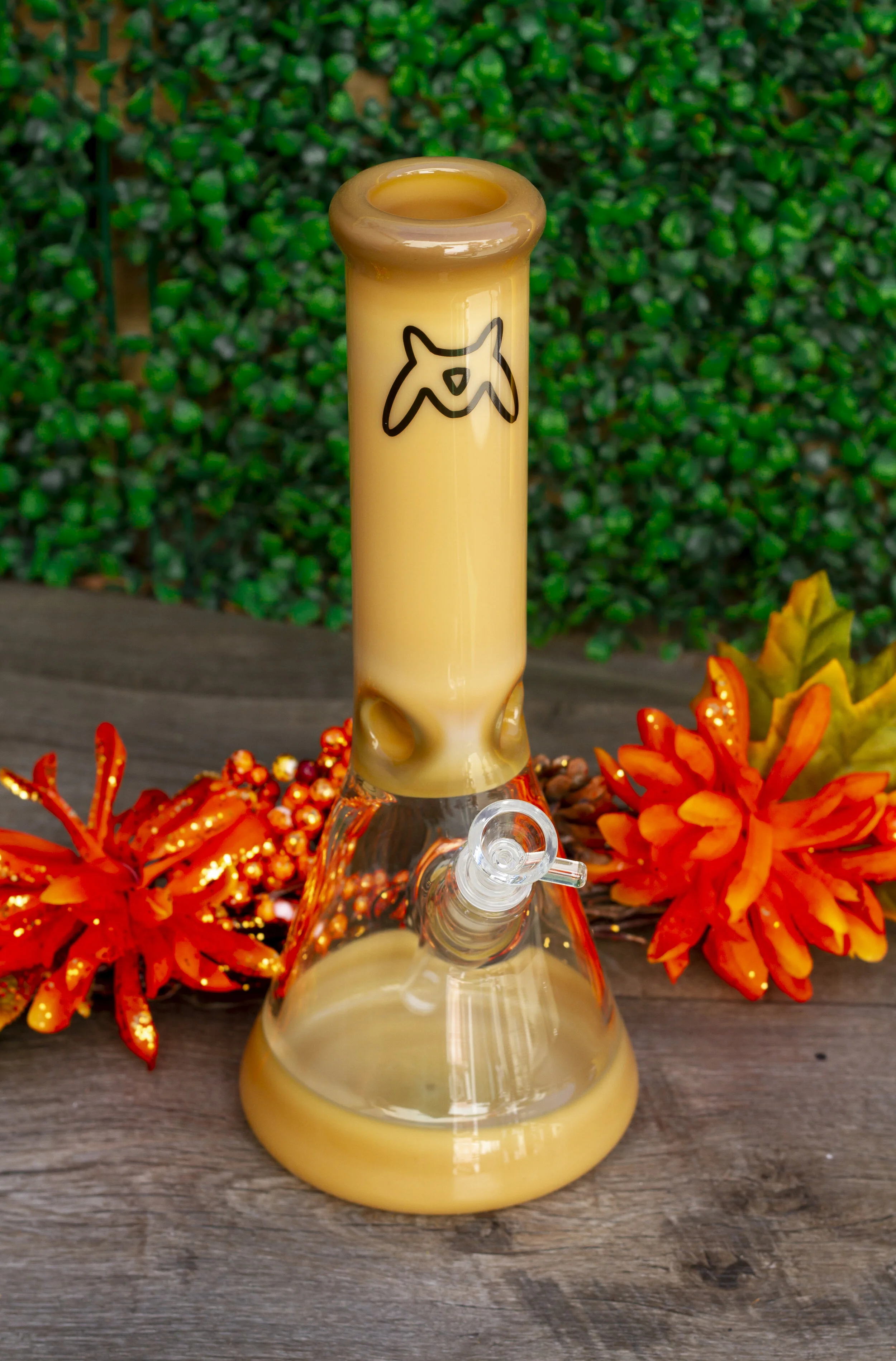 MAVGLASS-102519-00741.JPG