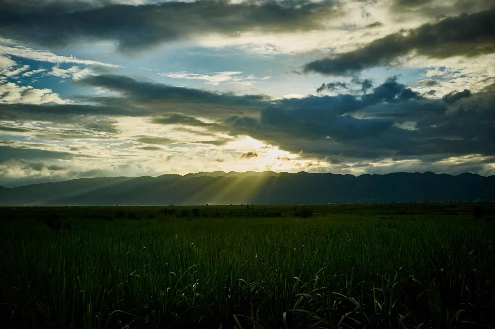 DSCF1583.jpg
