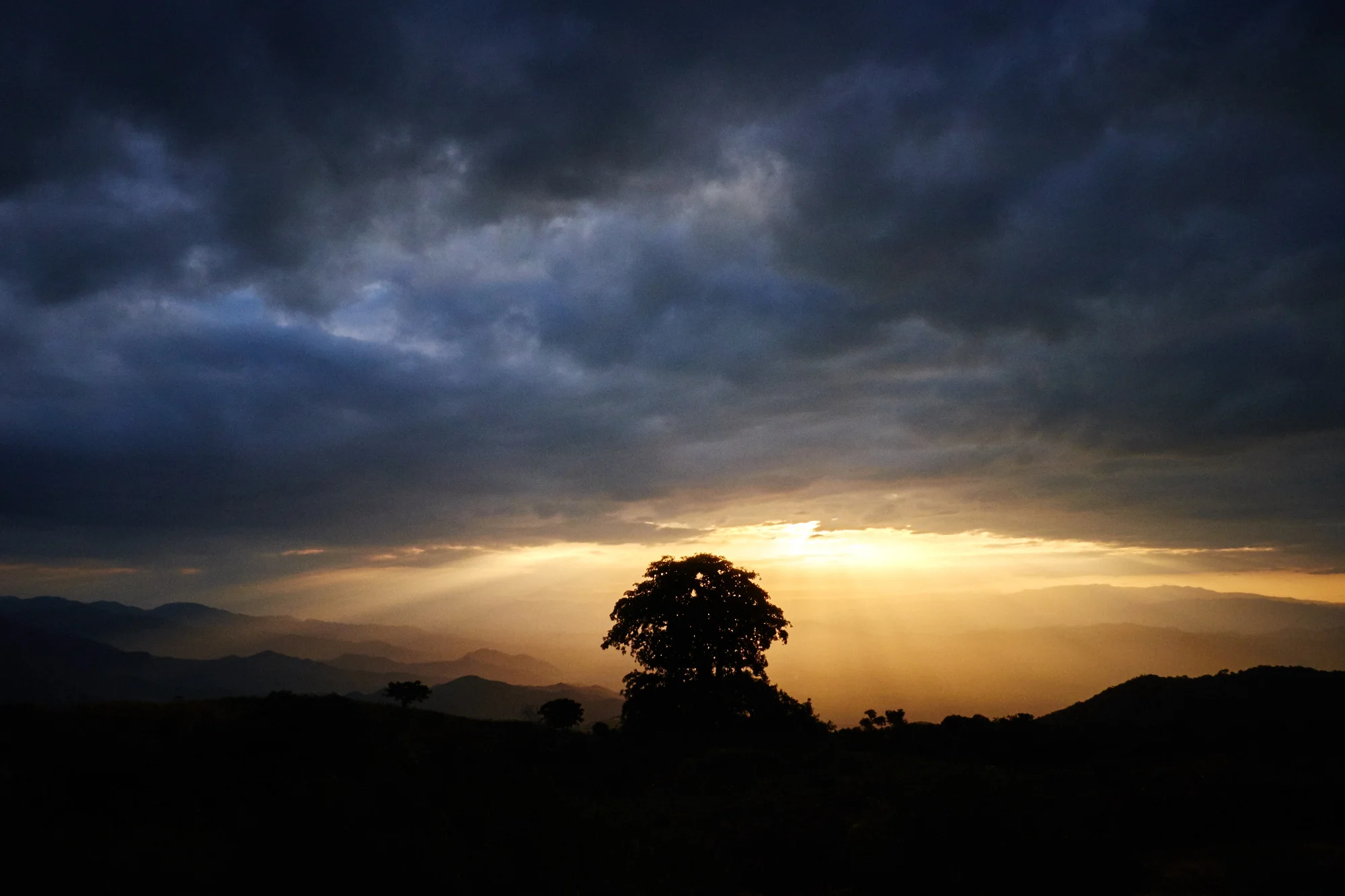 DSCF0917 1.jpg