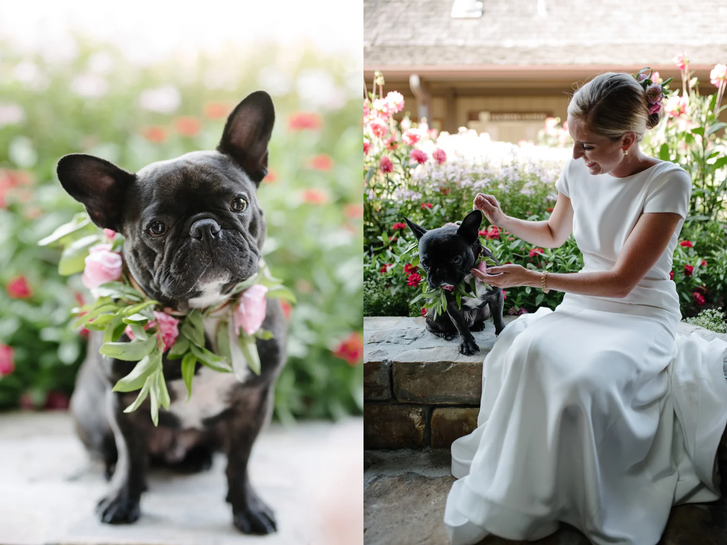 Sarah Deshields Nc Mountain Destination Wedding Photography