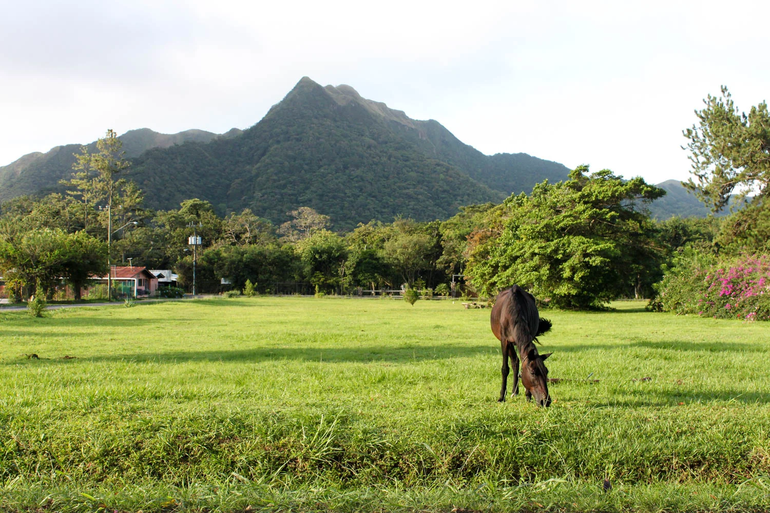 El Valle De Anton Travel Guide