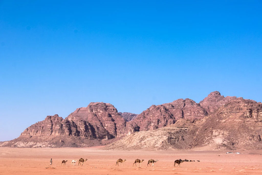 Wadi Rum-201.jpg