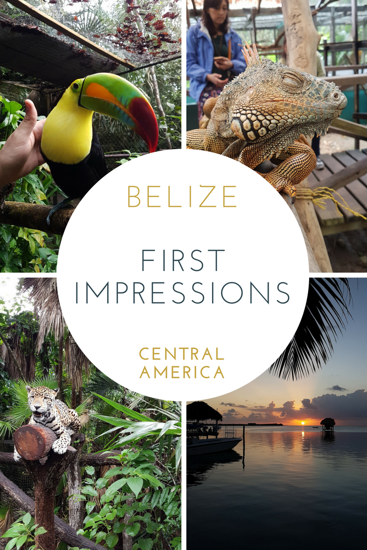 After 10 years of travel in Central America, I finally made it to Belize, my elusive last country. Here are my very first impressions after spending a few weeks there.