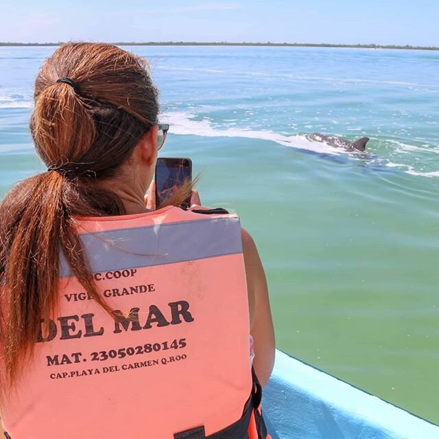 Hands down, one of the most fun days I've had out in the Riviera Maya this year was my time in Sian Ka'an Biosphere Reserve.⁠
⁠
Teen dolphin flirting, missing turtles and an island filled with birds - I saw it all and had such a relaxing day being ou