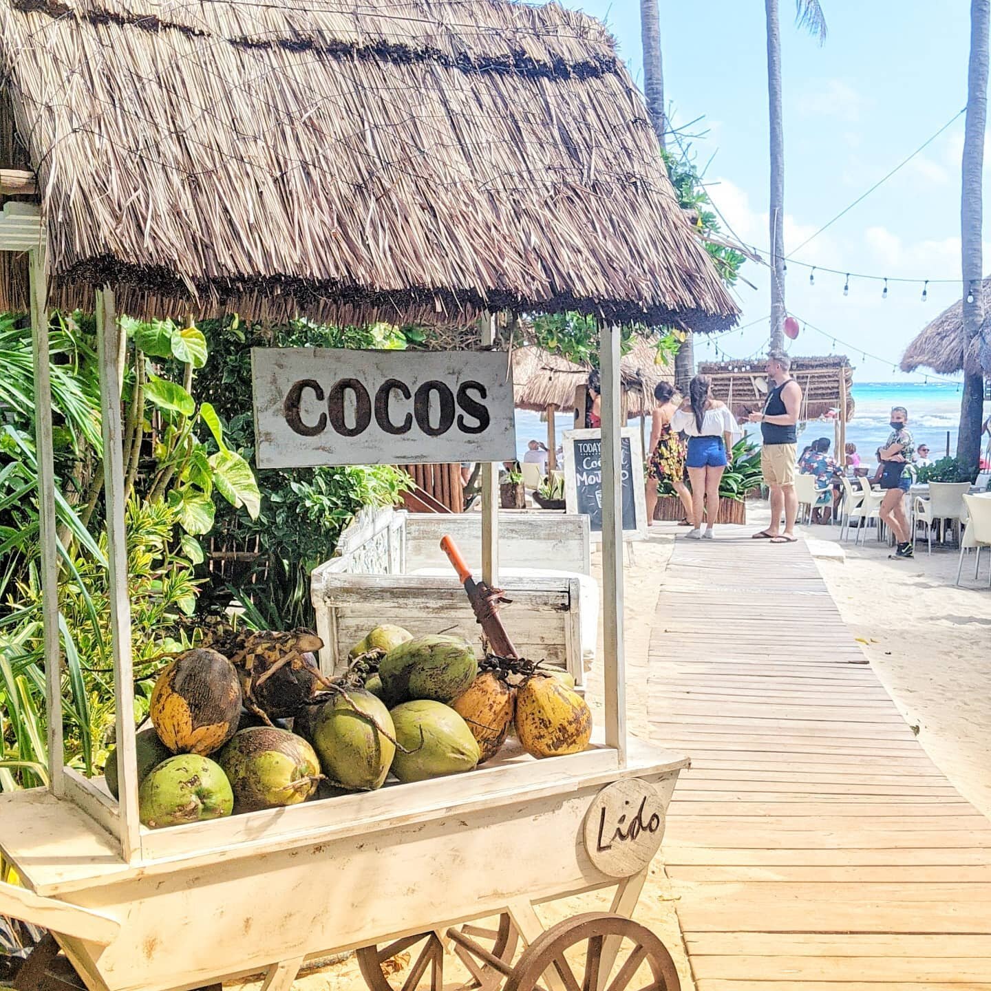 I couldn't resist sharing one of my favourite things about living here in the Mayan Riviera. Coconuts are everywhere, that's a given, but did you know you can buy freshly cut coconuts right on the beach? 🌴

🍌🍍🍉 The city is filled with fruiterias 