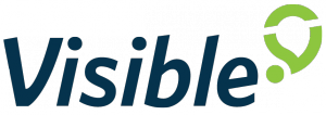 Visible-Logo_4C-300x106.png