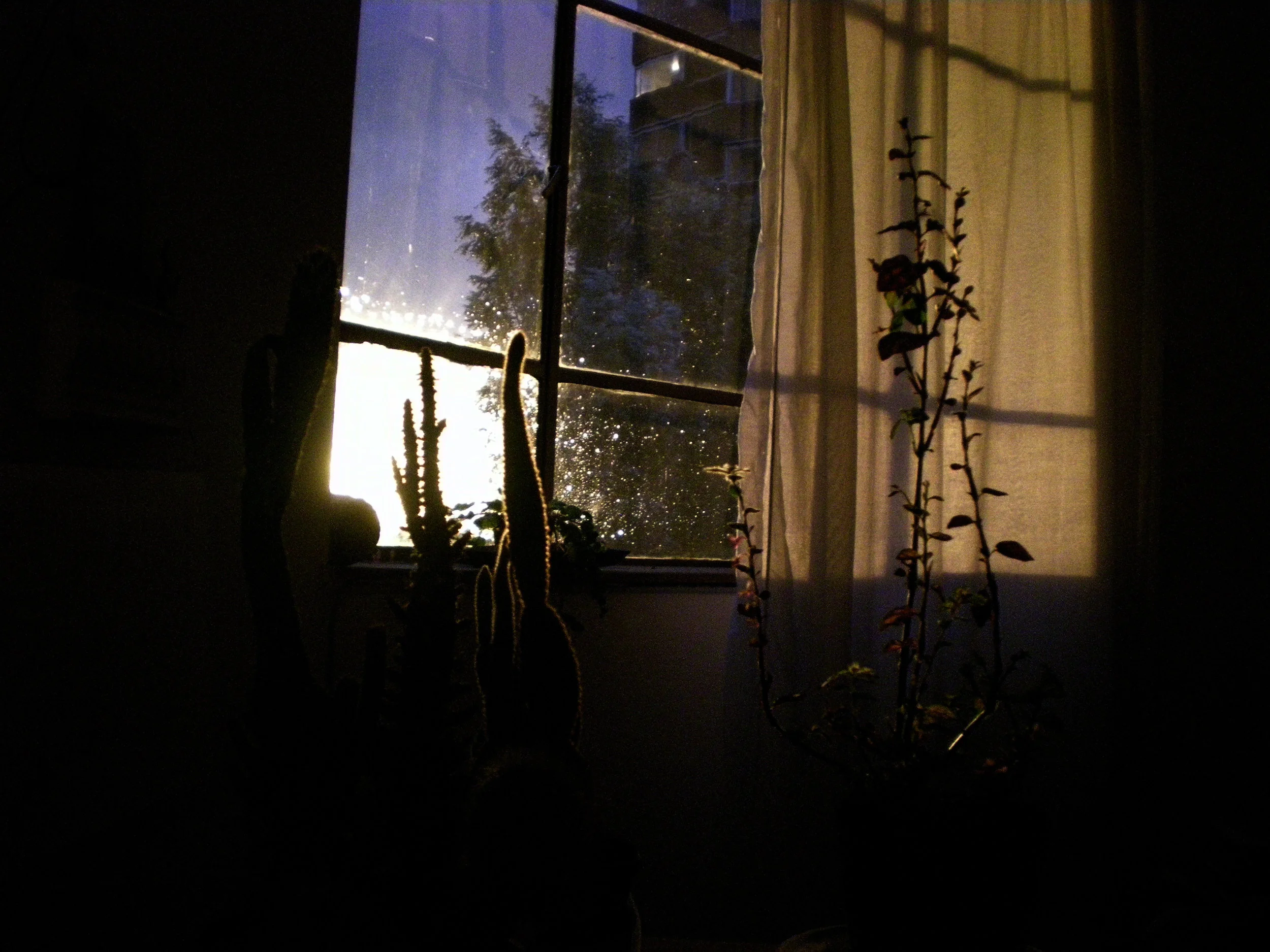atardecer1.jpg