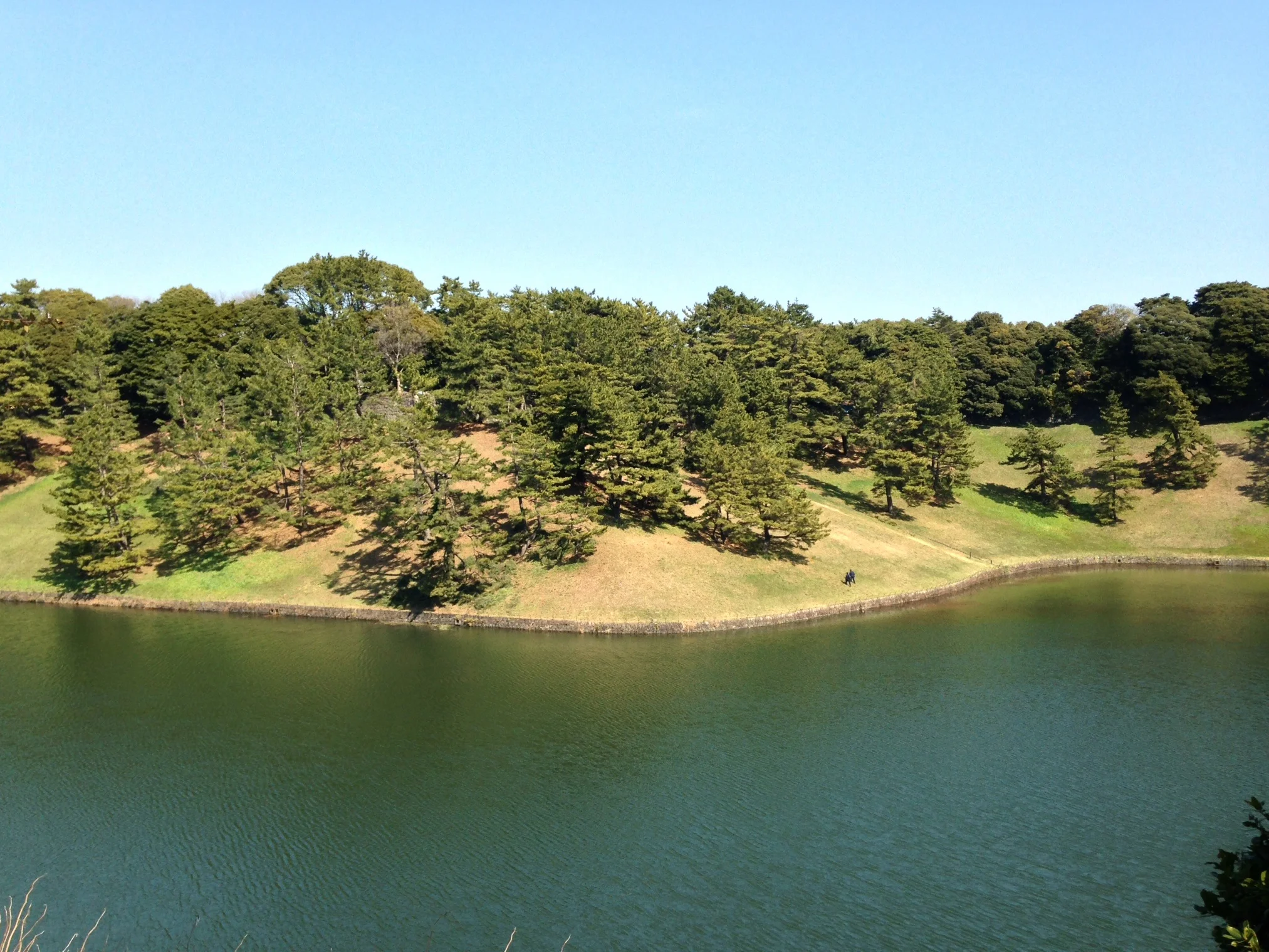 pond.jpg