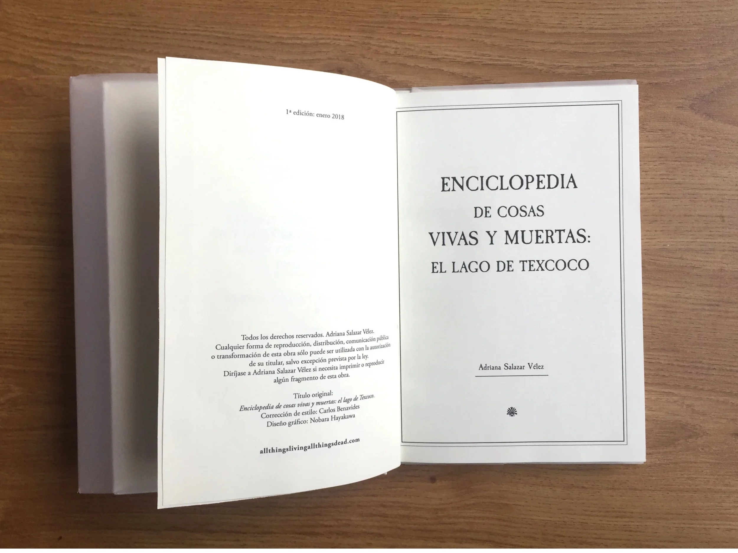 texcoco2.jpg