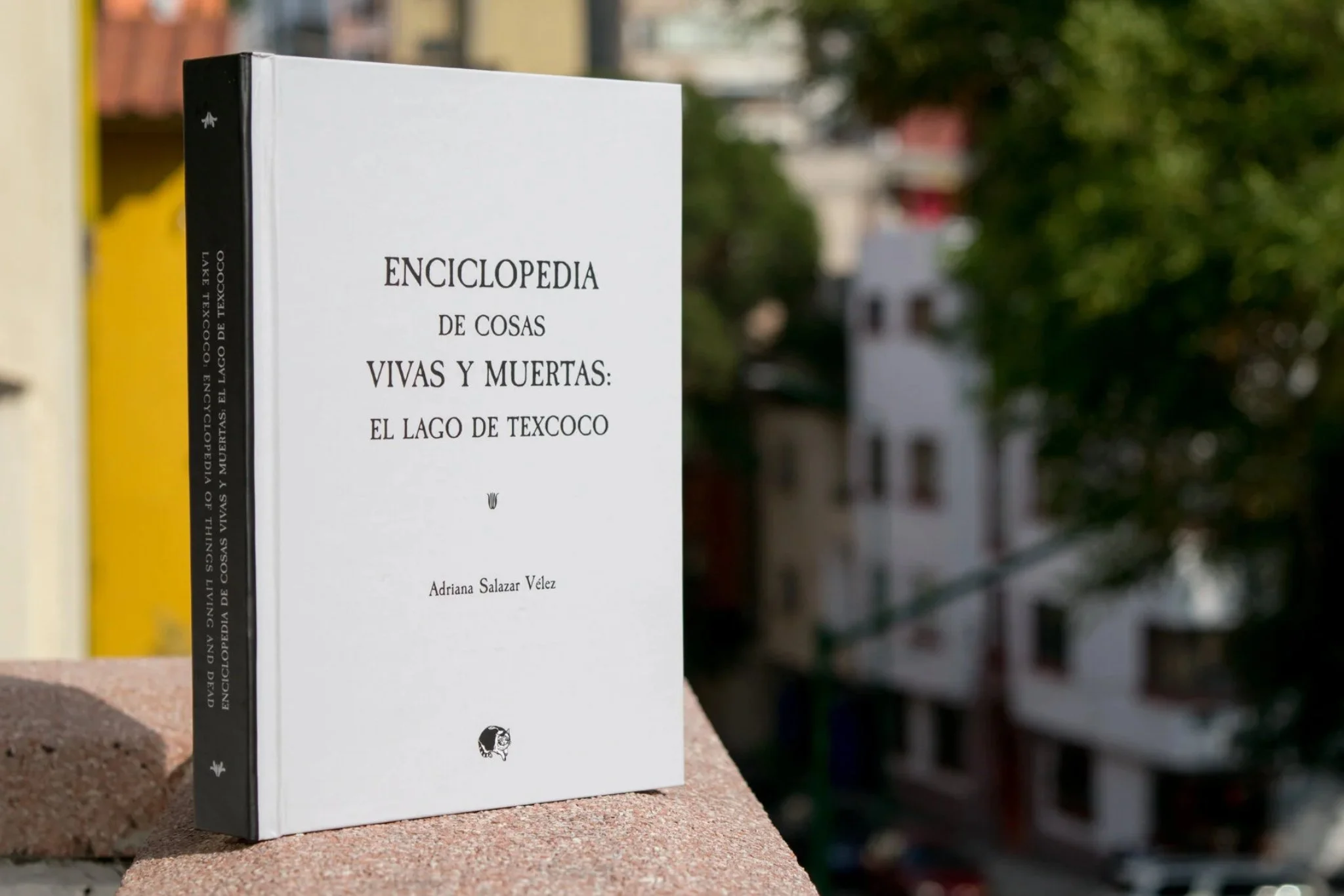 texcoco1.jpg