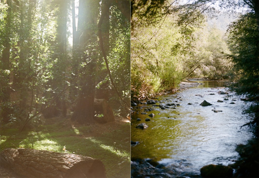 bigsur_4.jpeg