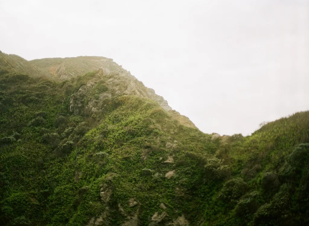 bigsur_8.jpeg