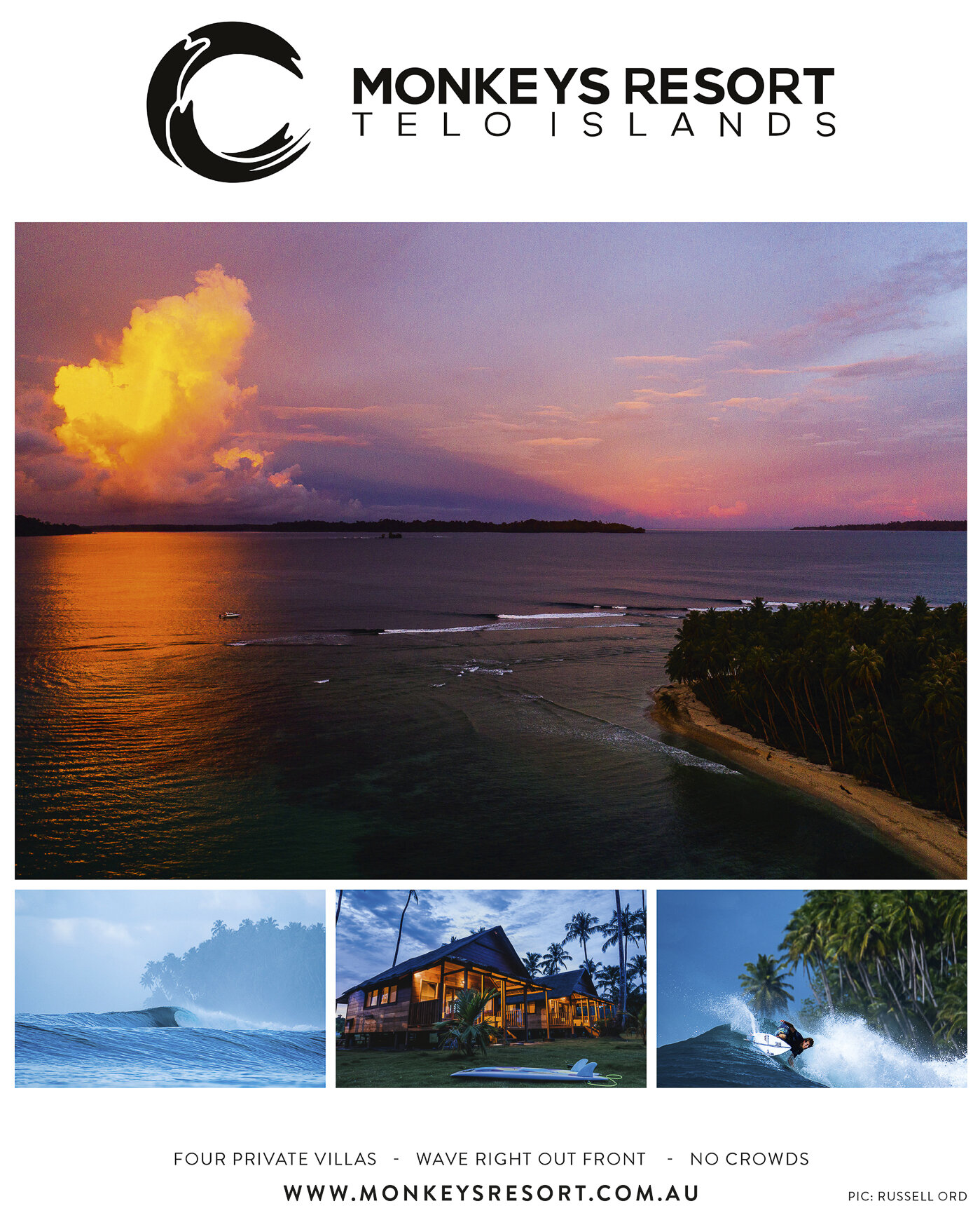 Monkeys Resort Advertising Campaign  (Copy)